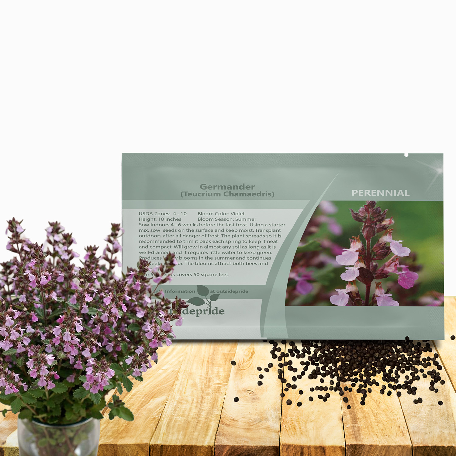 Germander Herb Seed Packet For Planting