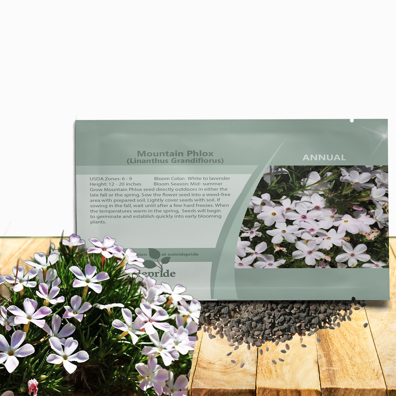 Mountain Phlox Seed Packetws