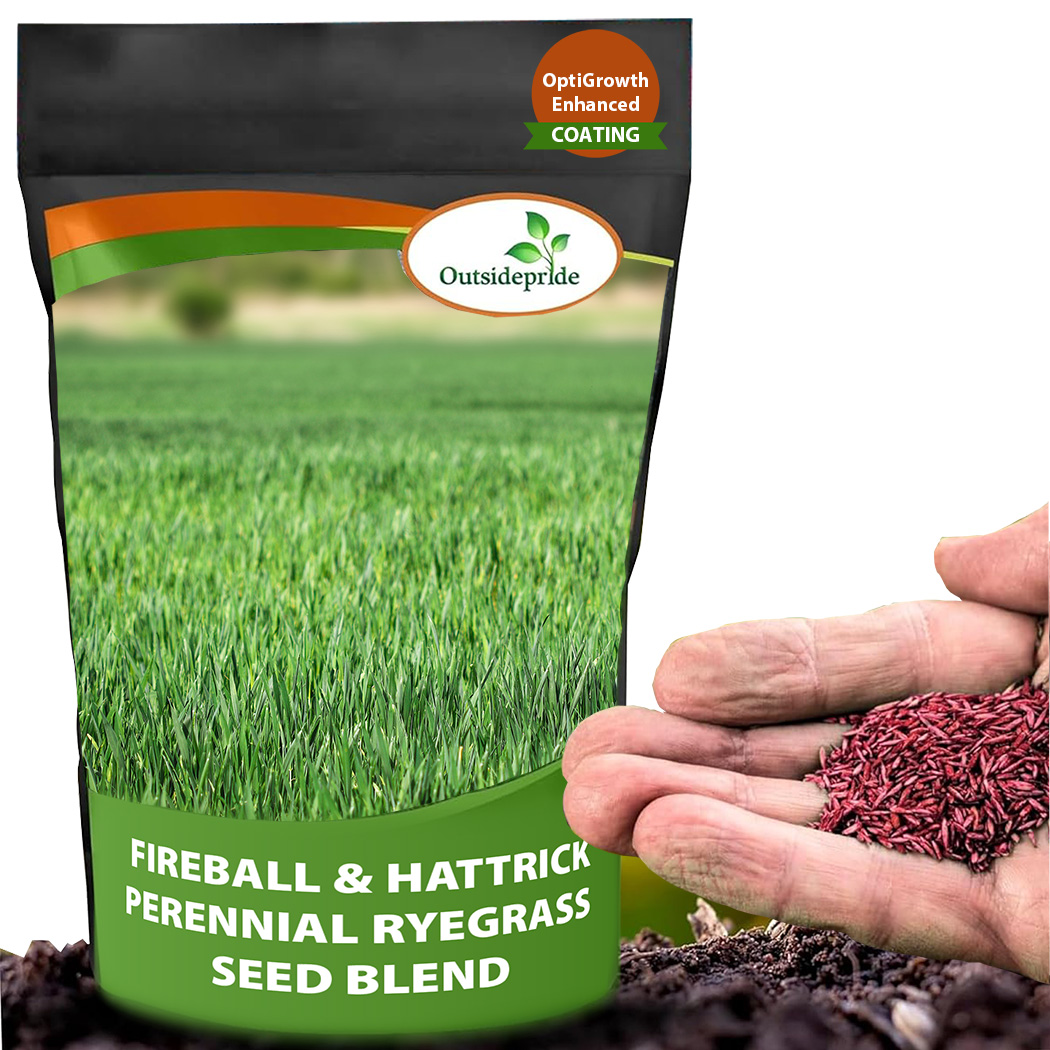 Hatrick Rye Lawn Grass Seed