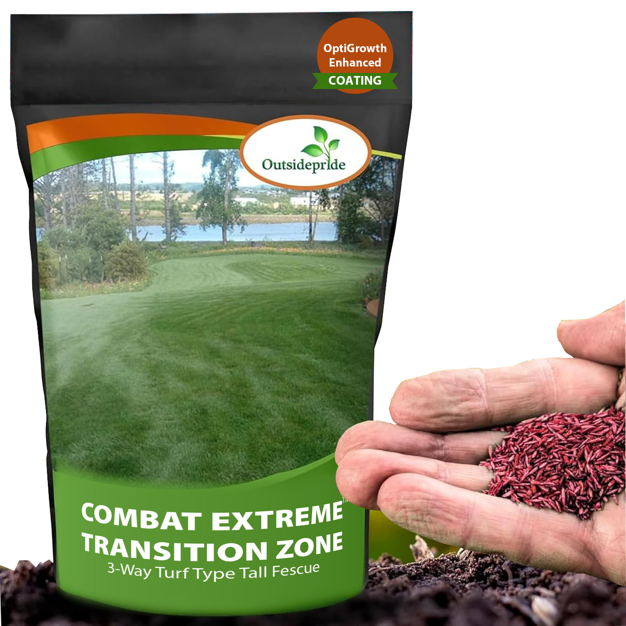 Turf Type Fescue Grass Blend