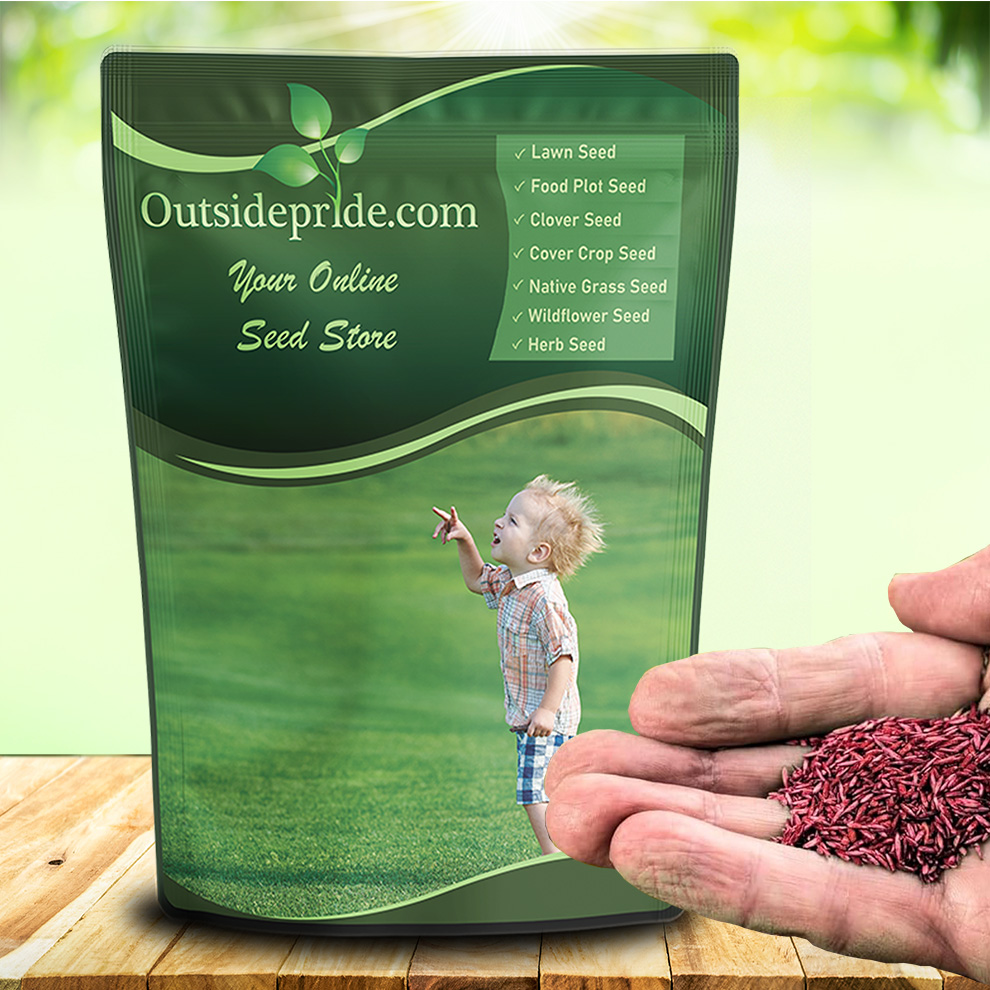 Top Lawn Seed Mix