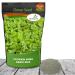 Clover King Seed Bag