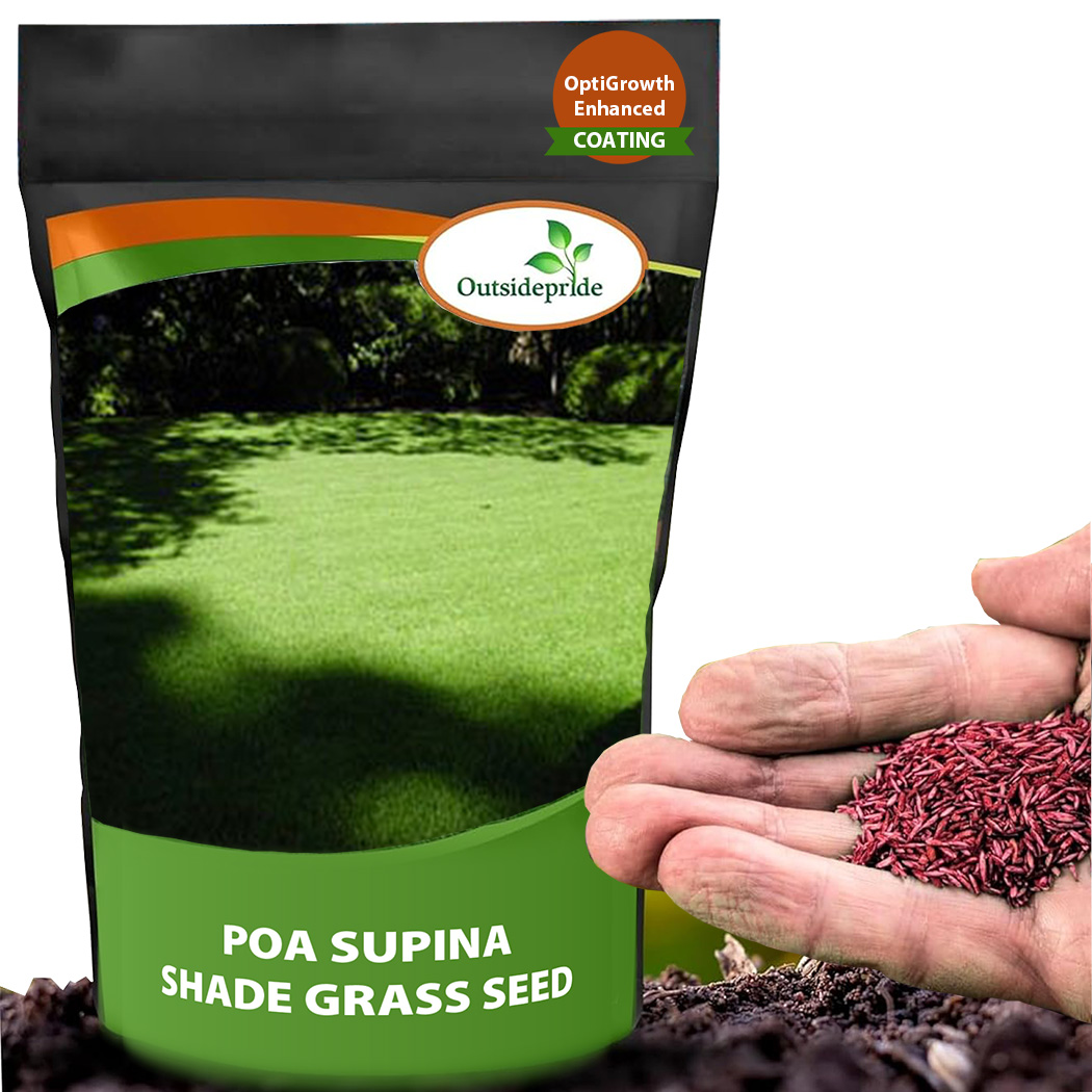 Poa Supina Grass Seed Bag