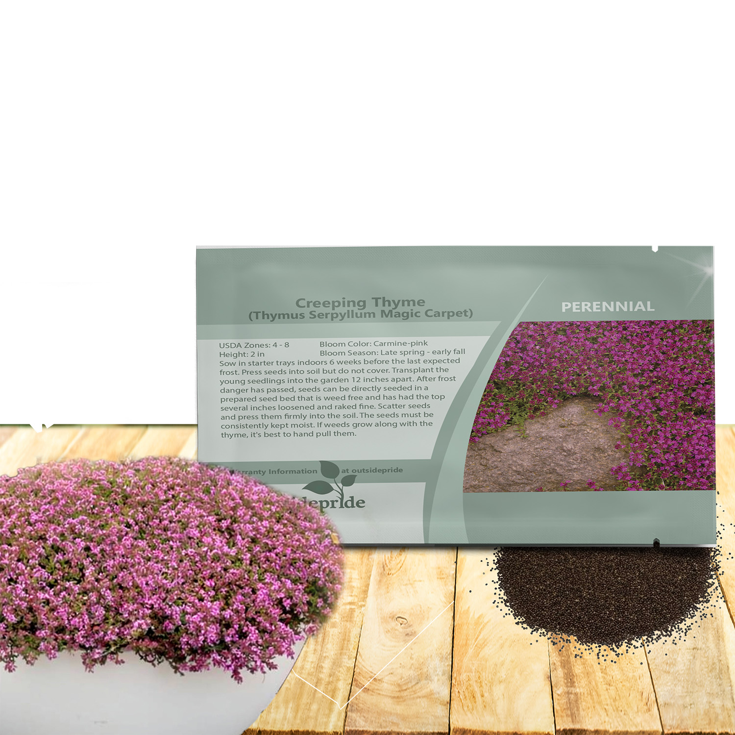Creeping Thyme Magic Carpet Seed Packet