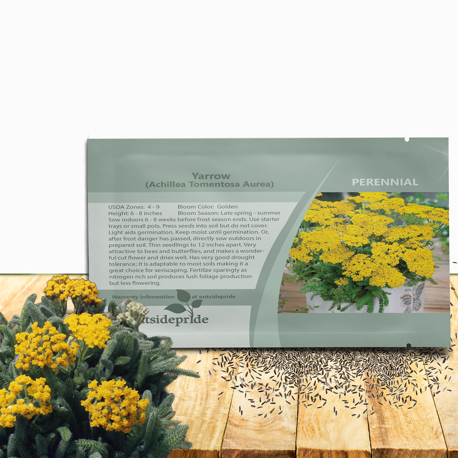 Yellow Yarrow Aurea Seed Packet