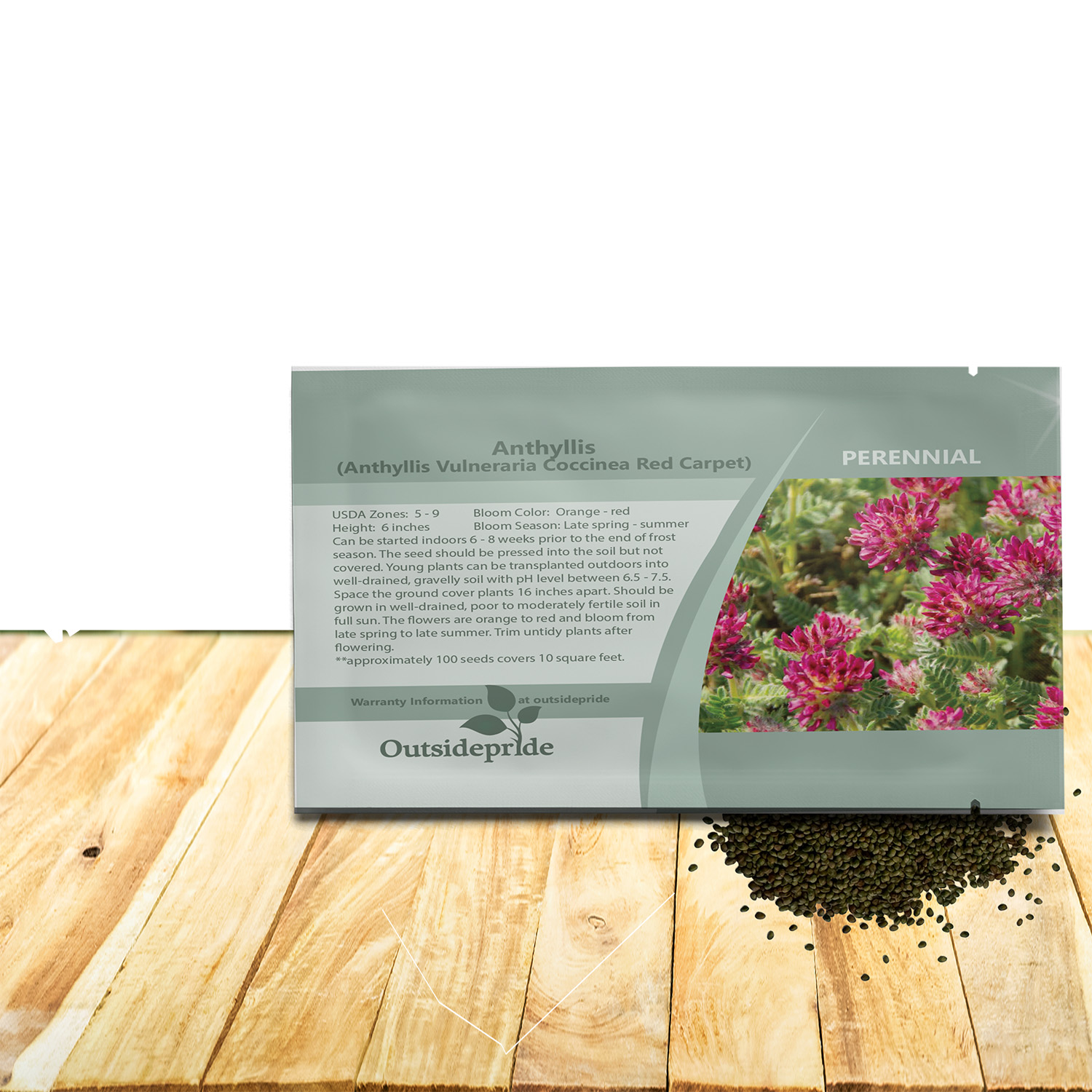 Anthyllis Ground Cover Seeds For Planting