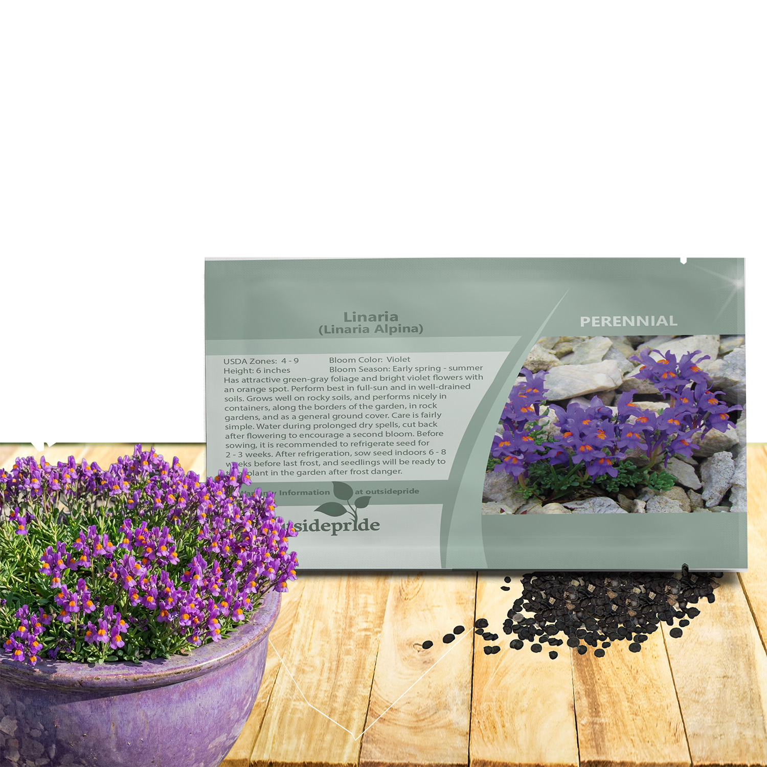 Linaria Ground Cover Seed Packet