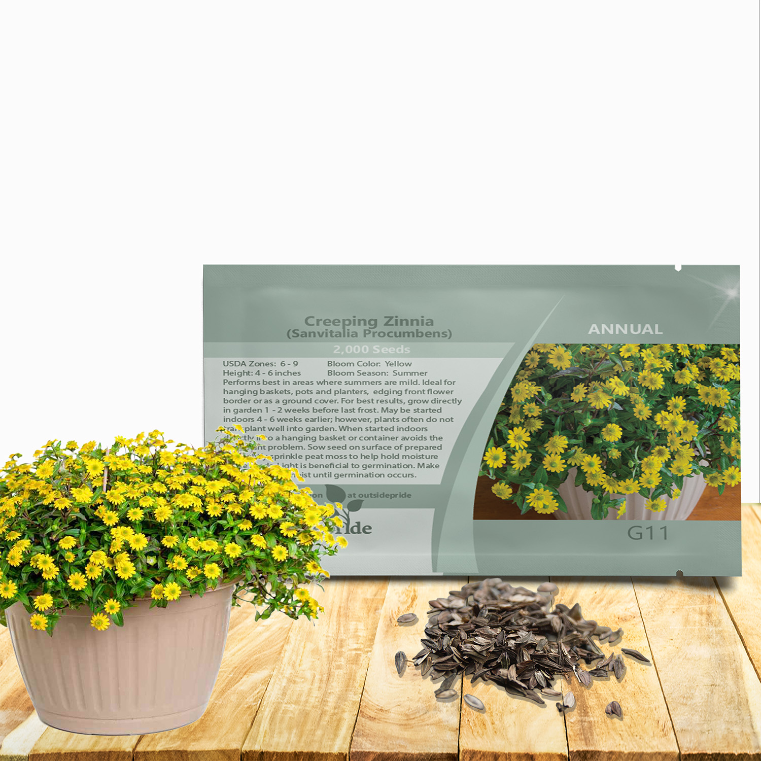 Creeping Zinnia Seed Packet