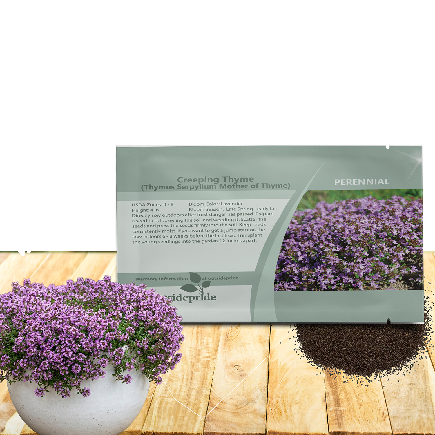 Creeping Thyme Mother of Thyme Seed Packet