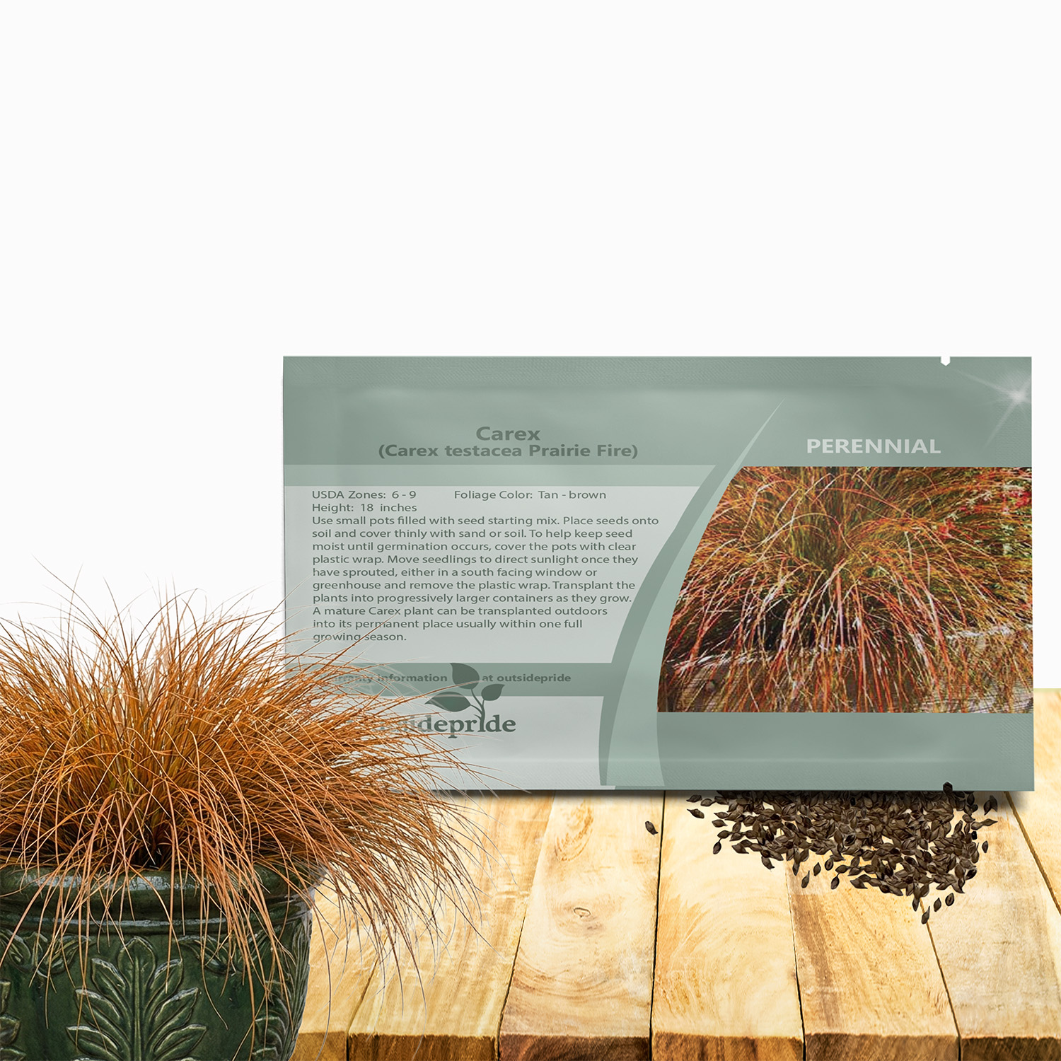 Carex Testacea Seed Packet