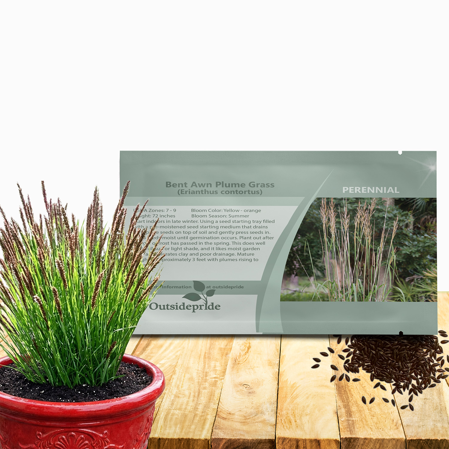 Melica Altissima Red Seed Packet