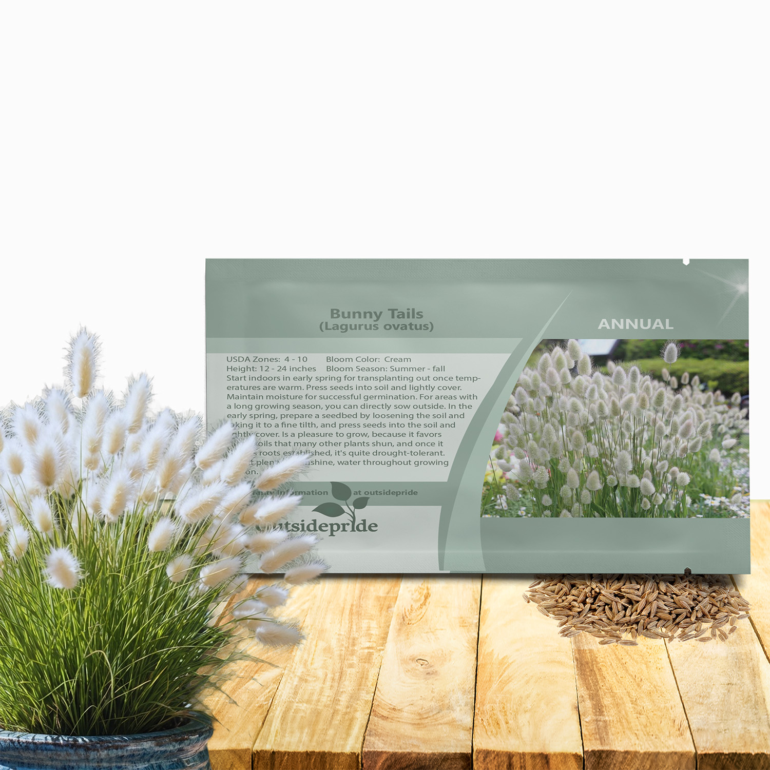 Lagurus Ovatus Bunny Tails Seed Packet