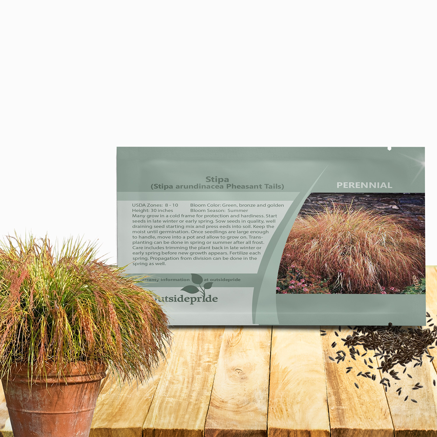 Stipa Pheasant Tails Seed Packet
