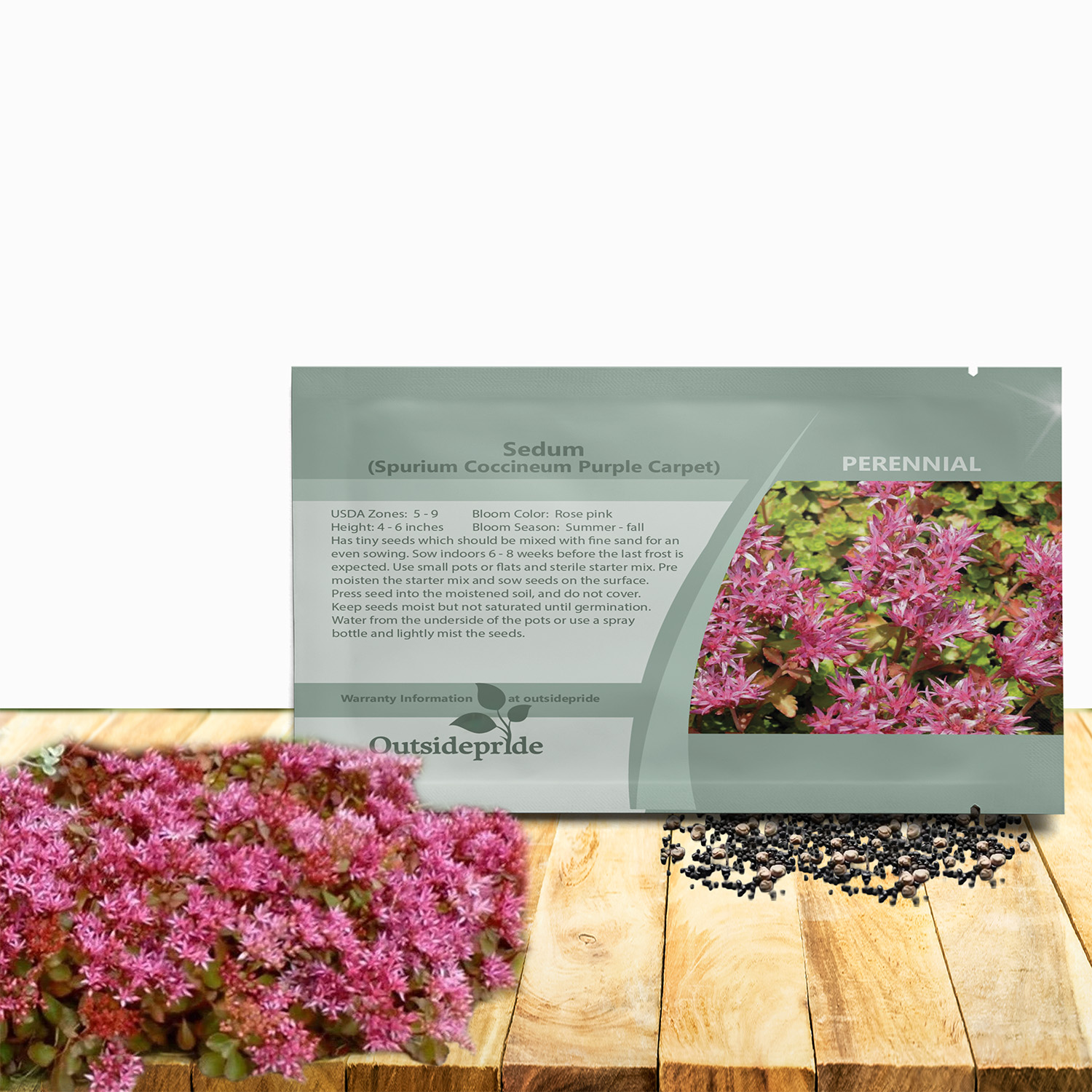 Sedum Purple Carpet Seed Packet