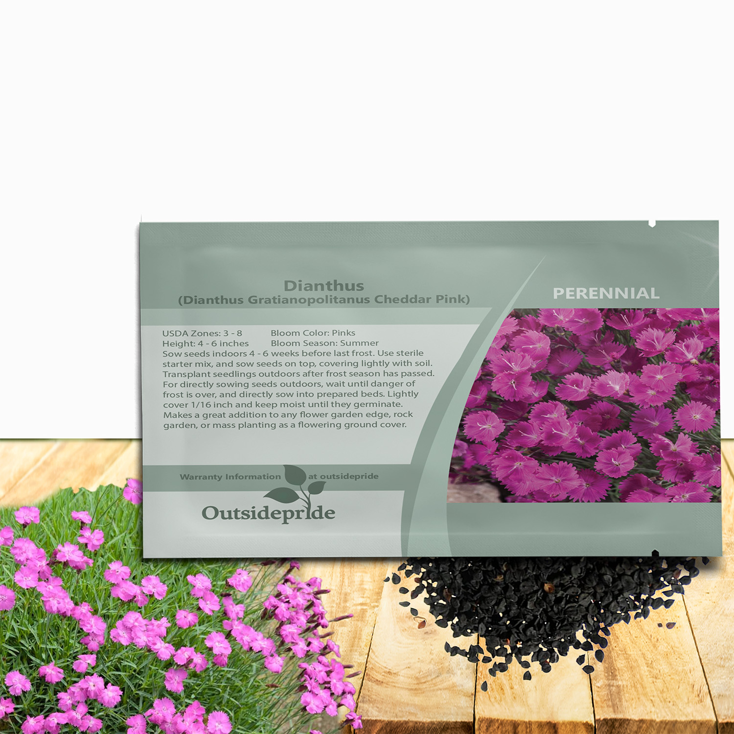 Dianthus Gratianopolitanus Cheddar Pink Seed Packet