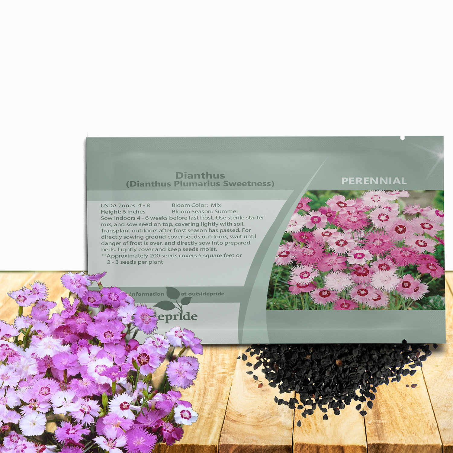 Dianthus Sweetness Seed Packet For Planting