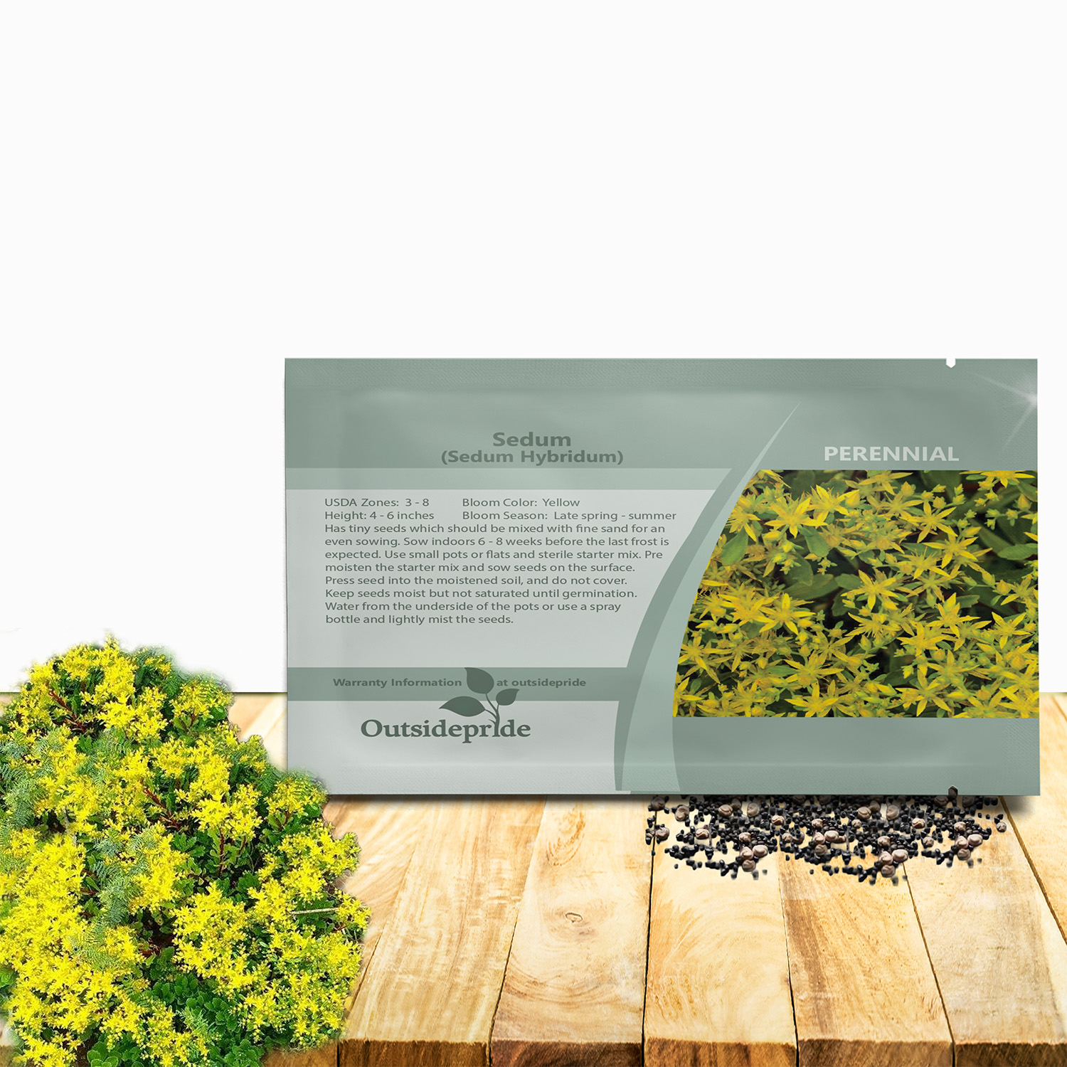 Yellow Sedum Hybridum Seed Packet