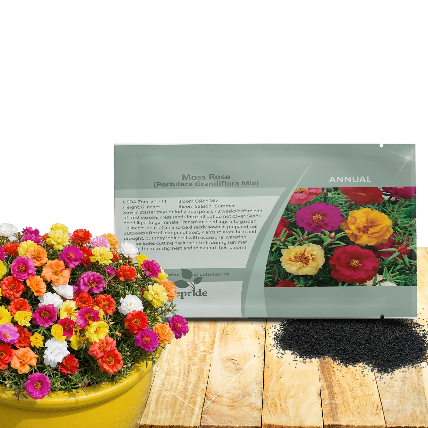 Moss Rose Ground Cover Seed Packet