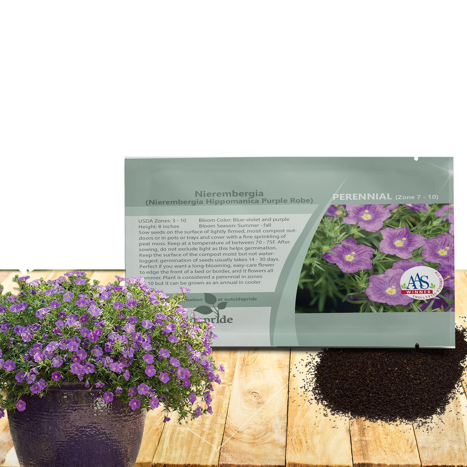 Nierembergia Purple Robe Seed Packet
