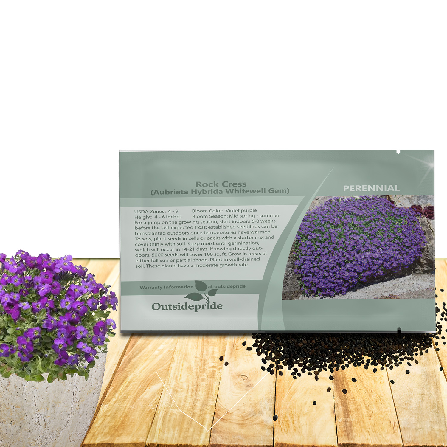 Compact Aubrieta Whitewell Gem Seed Packet