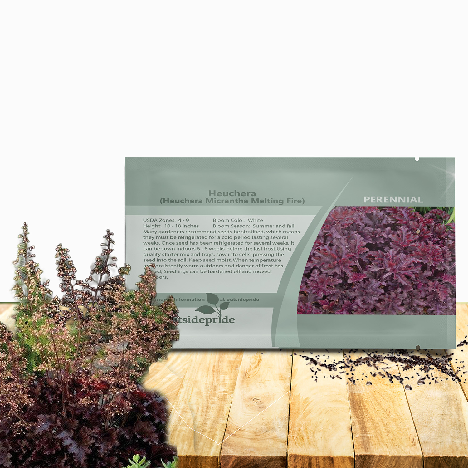 Heuchera Melting Fire Flower Seed For Planting