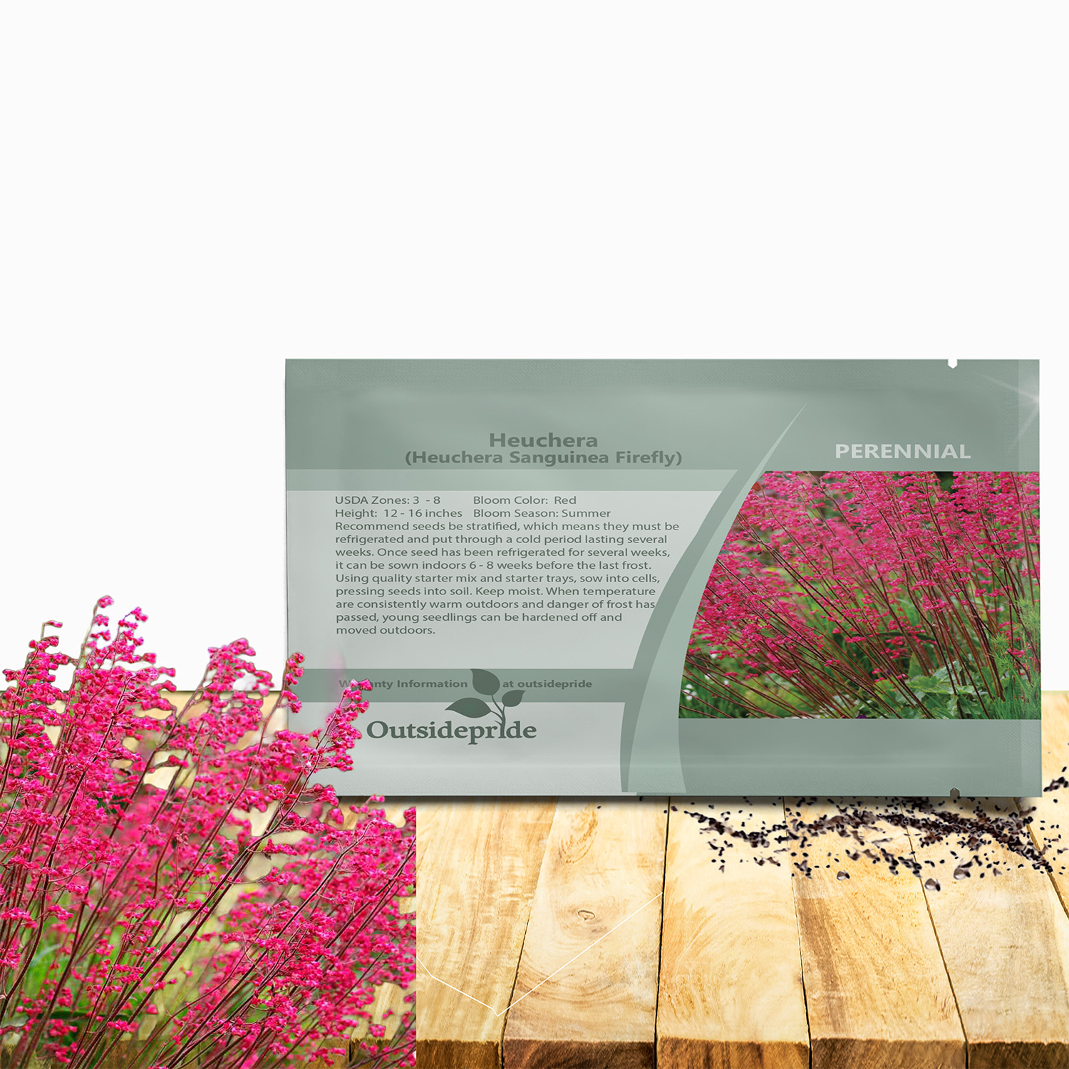 Heuchera Firefly Flower Seed For Planting