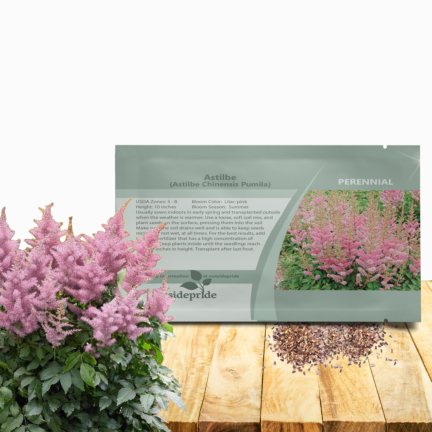 Astilbe Pumila Flower Seed Packet