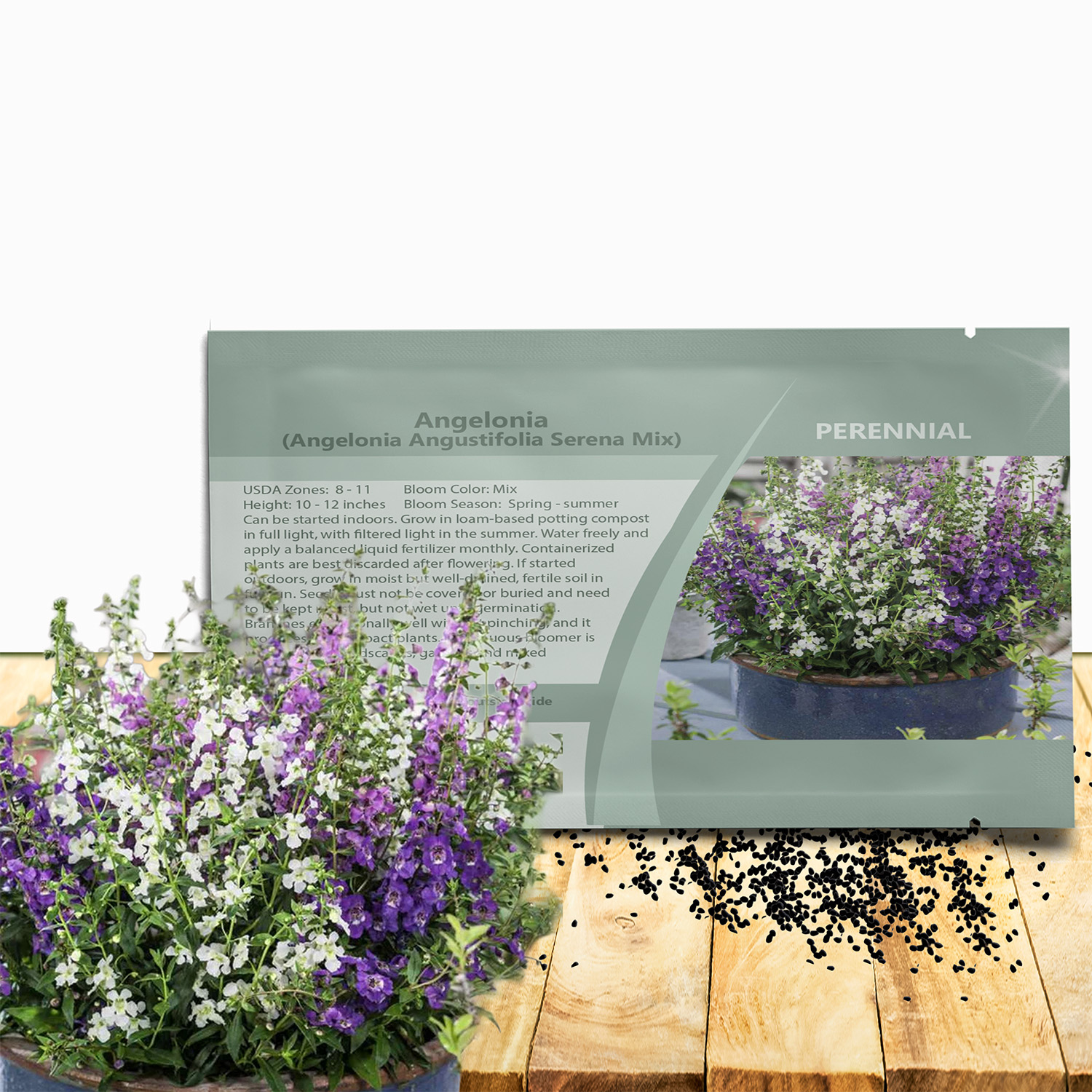 Angelonia Serena Seed Packet Mix For Planting
