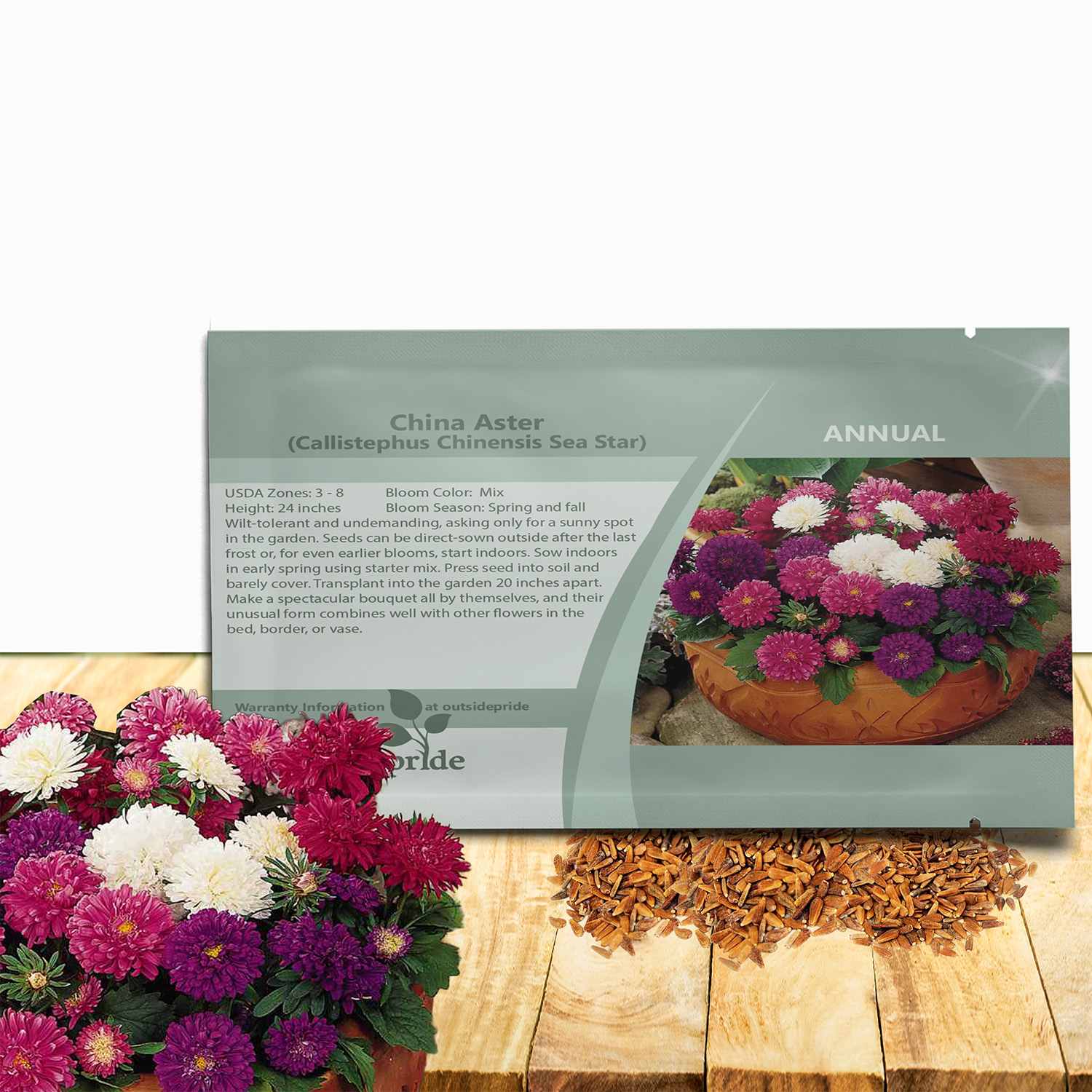 Aster Seastar Seed Packet Mixture