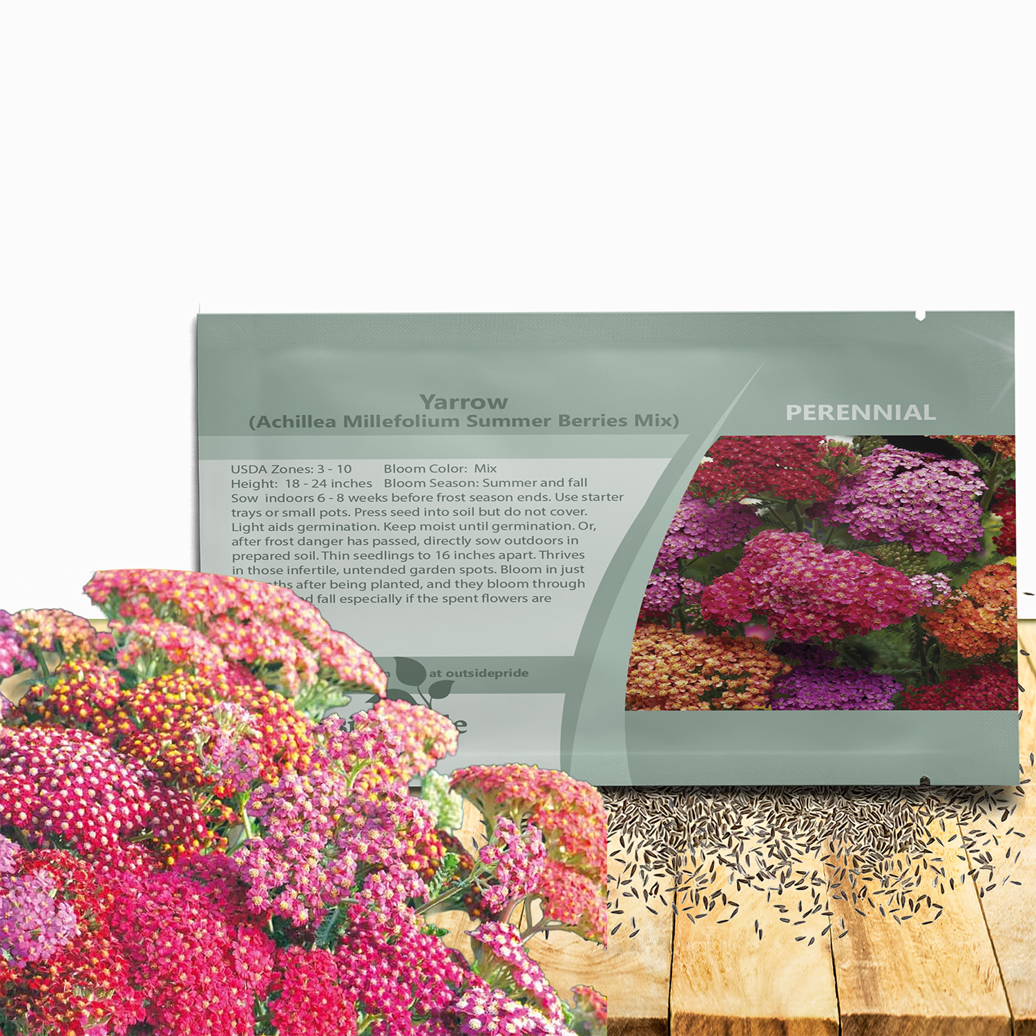 Achillea Summer Berries Seed Packet