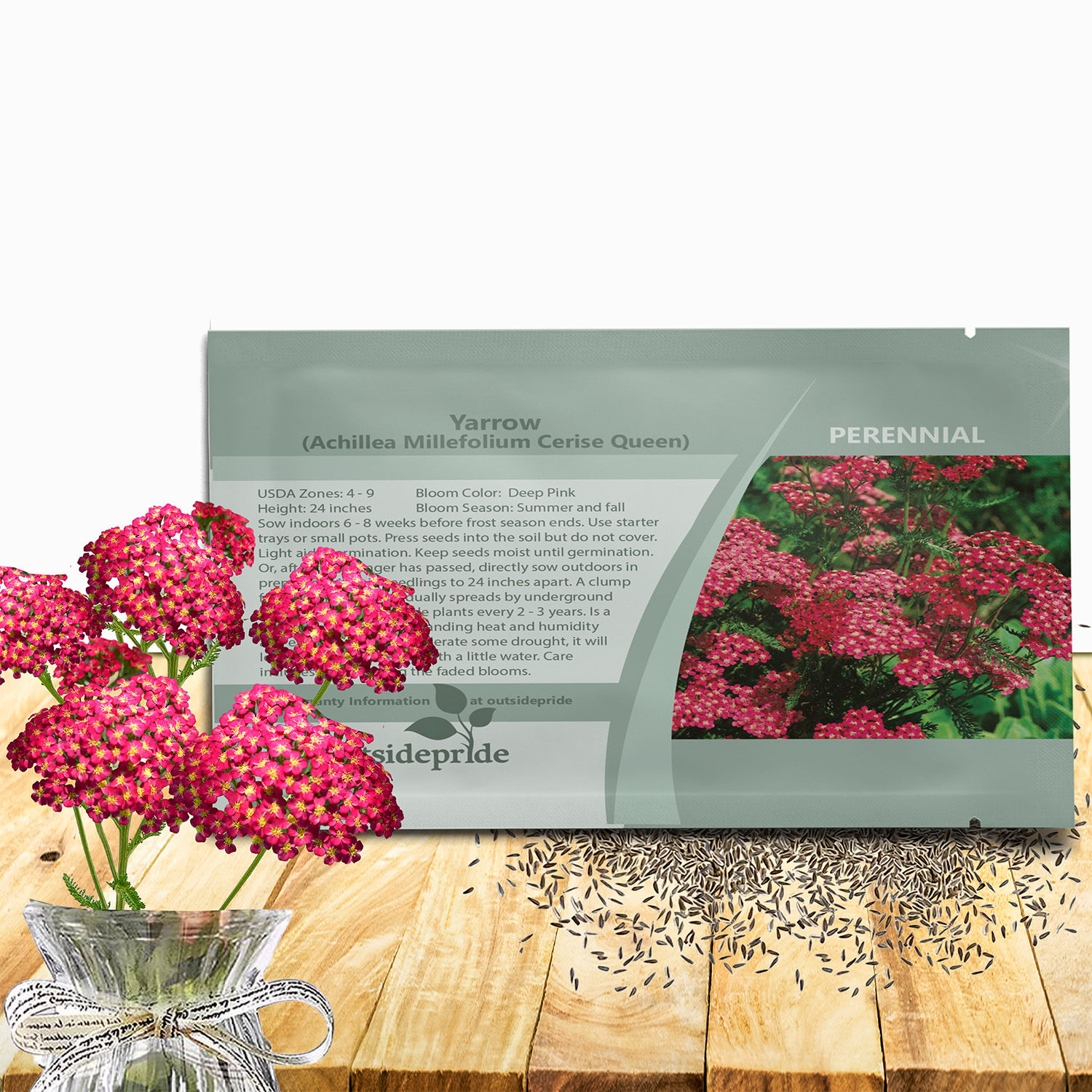 Achillea Cerise Queen Seed Packet