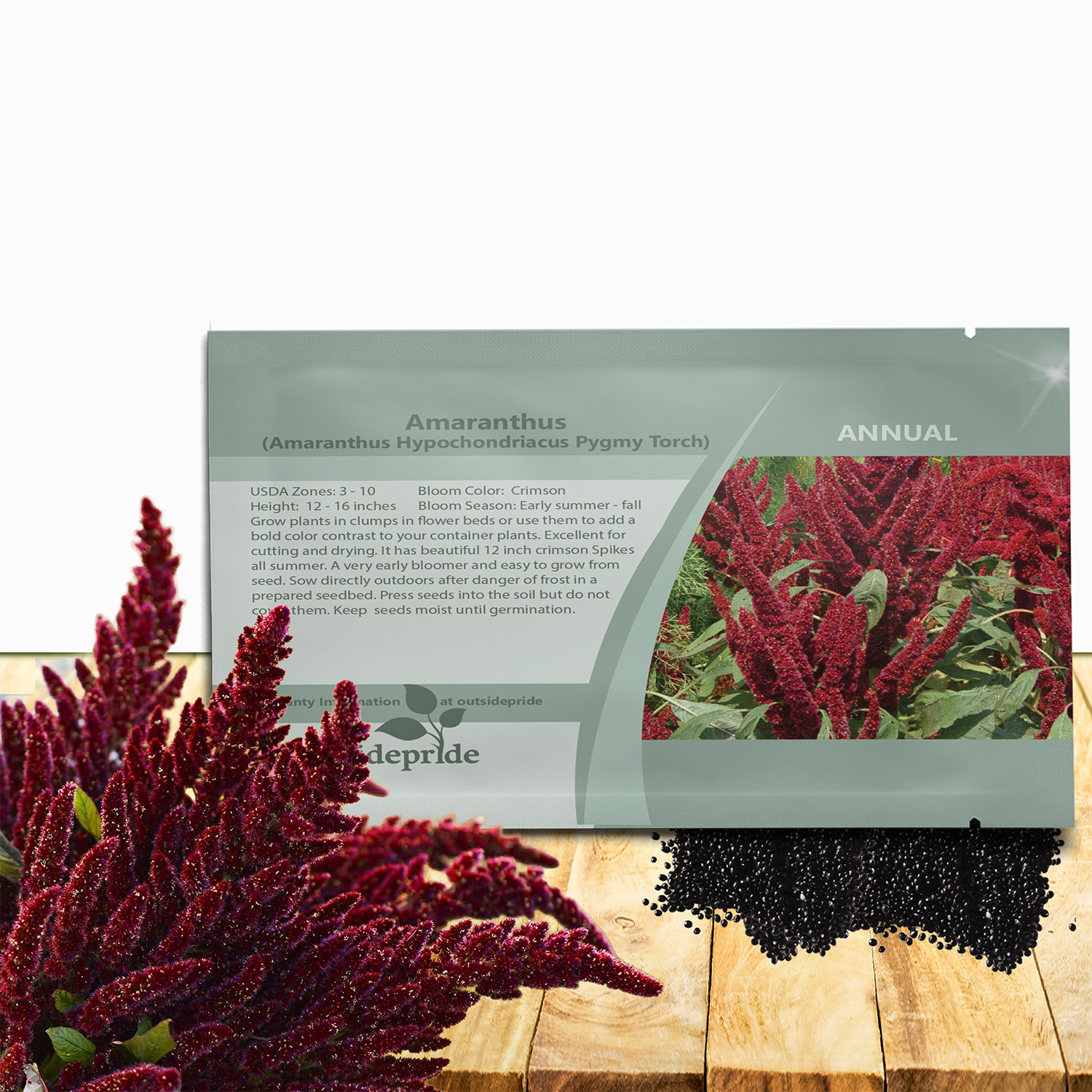 Amaranthus Pygmy Torch Seed Packet for Planting
