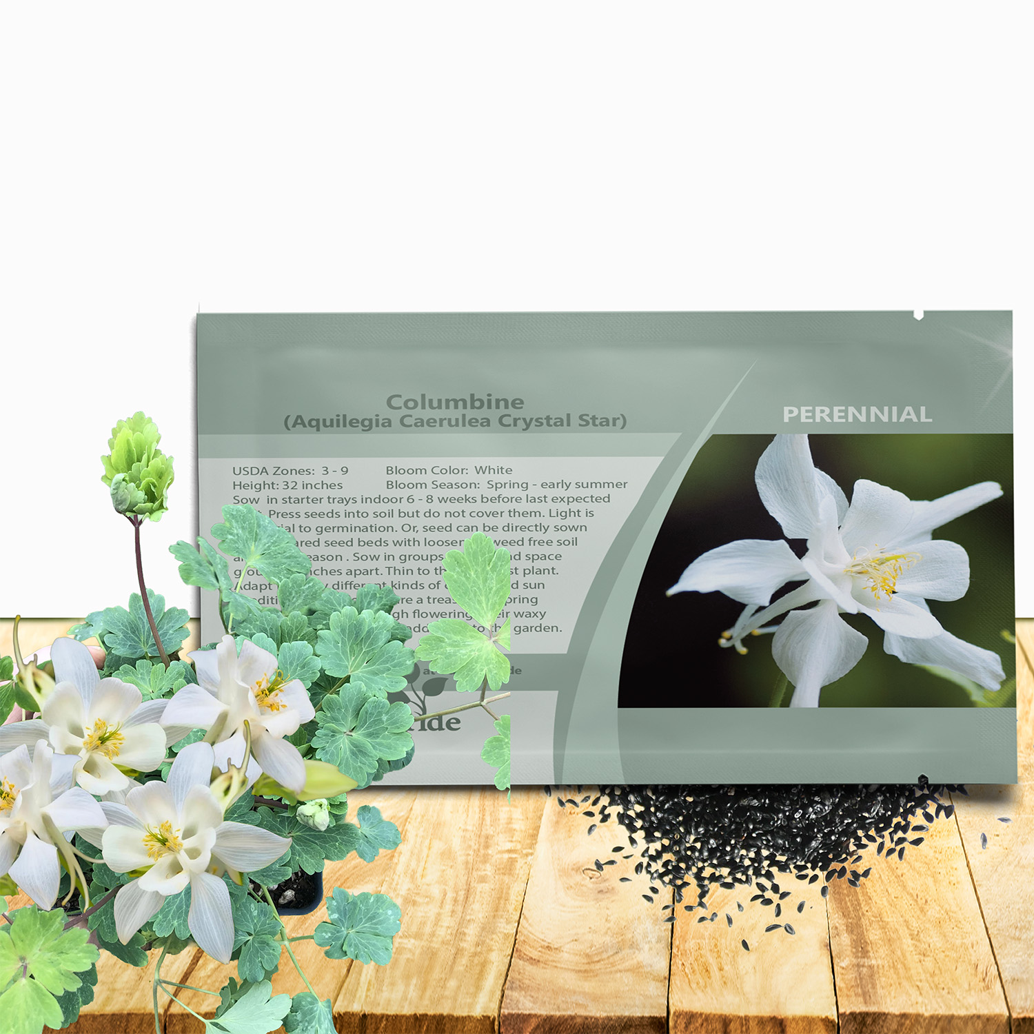 Columbine Crystal Star Seed Packet
