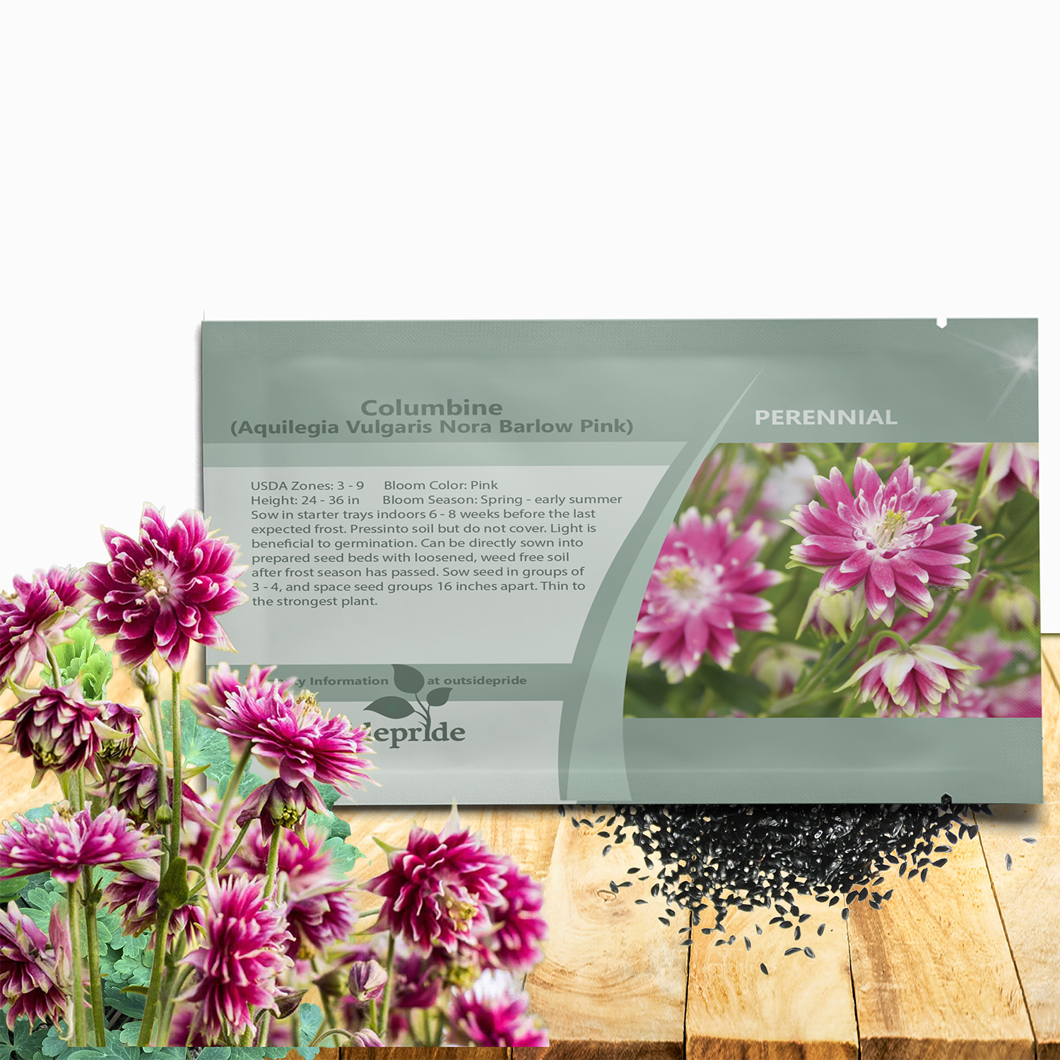 Columbine Nora Barlow Seed Packet
