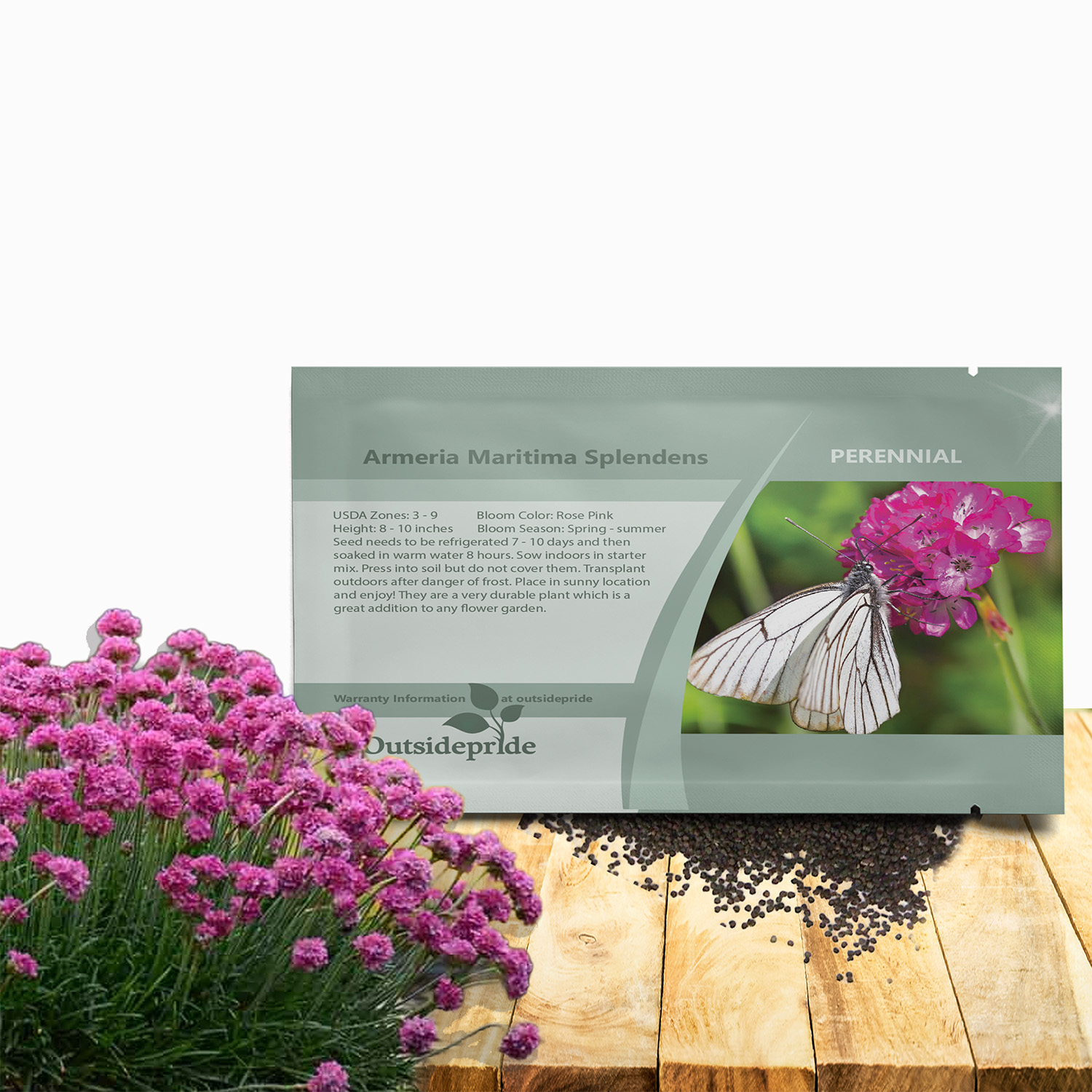 Armeria Splendens Flower Seed Packet For Planting