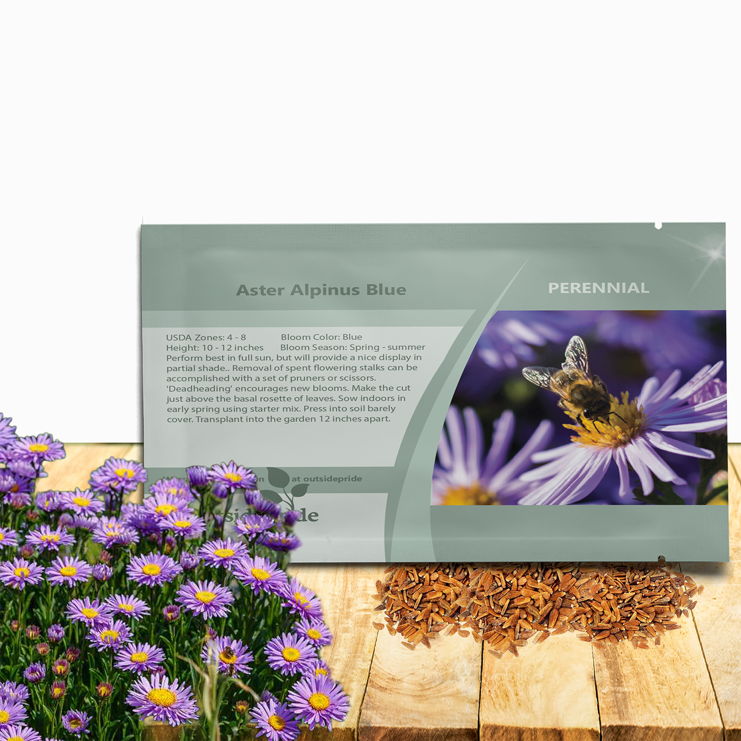 Aster Alpinus Blue Flower
