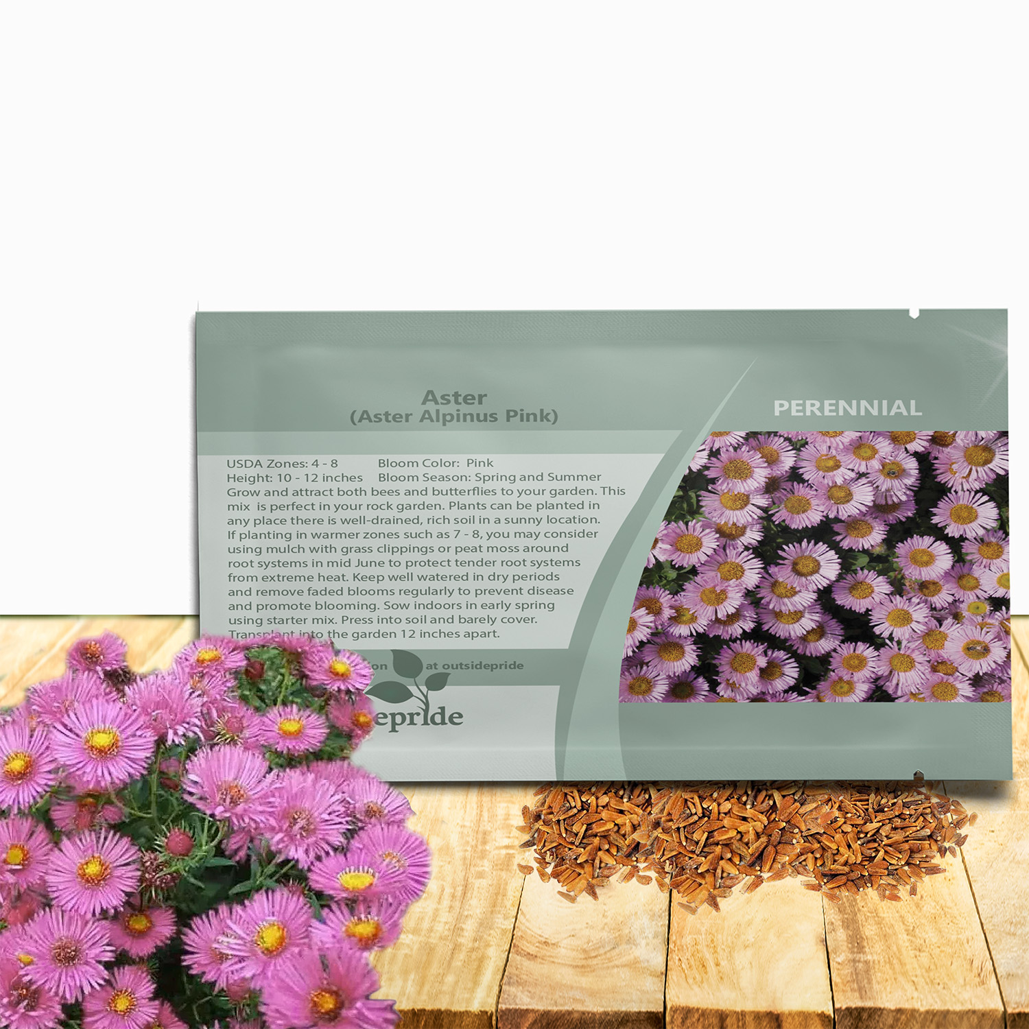 Aster Alpinus Pink Flower Seed Packet