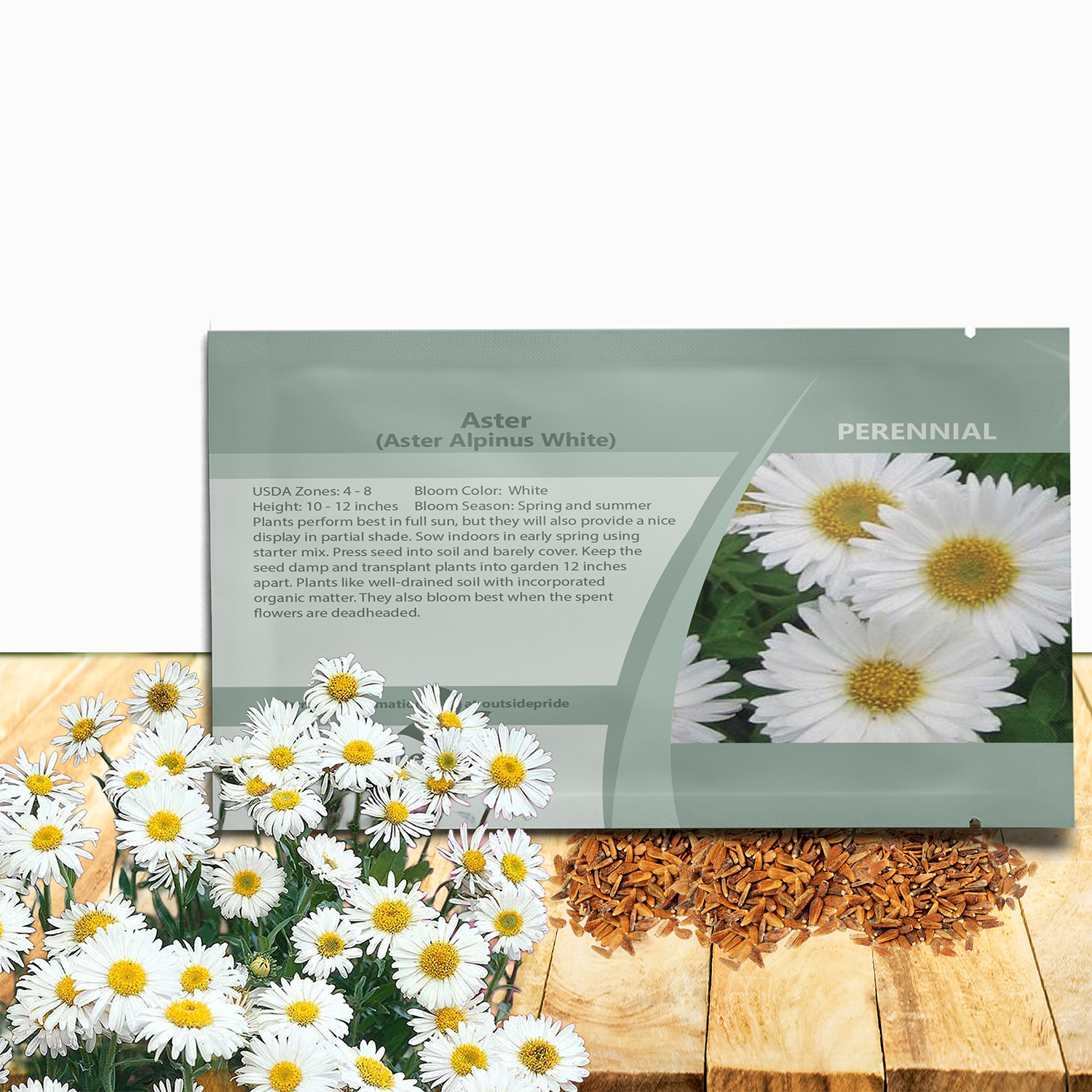 Aster Alpinus White Flower Seed Packet
