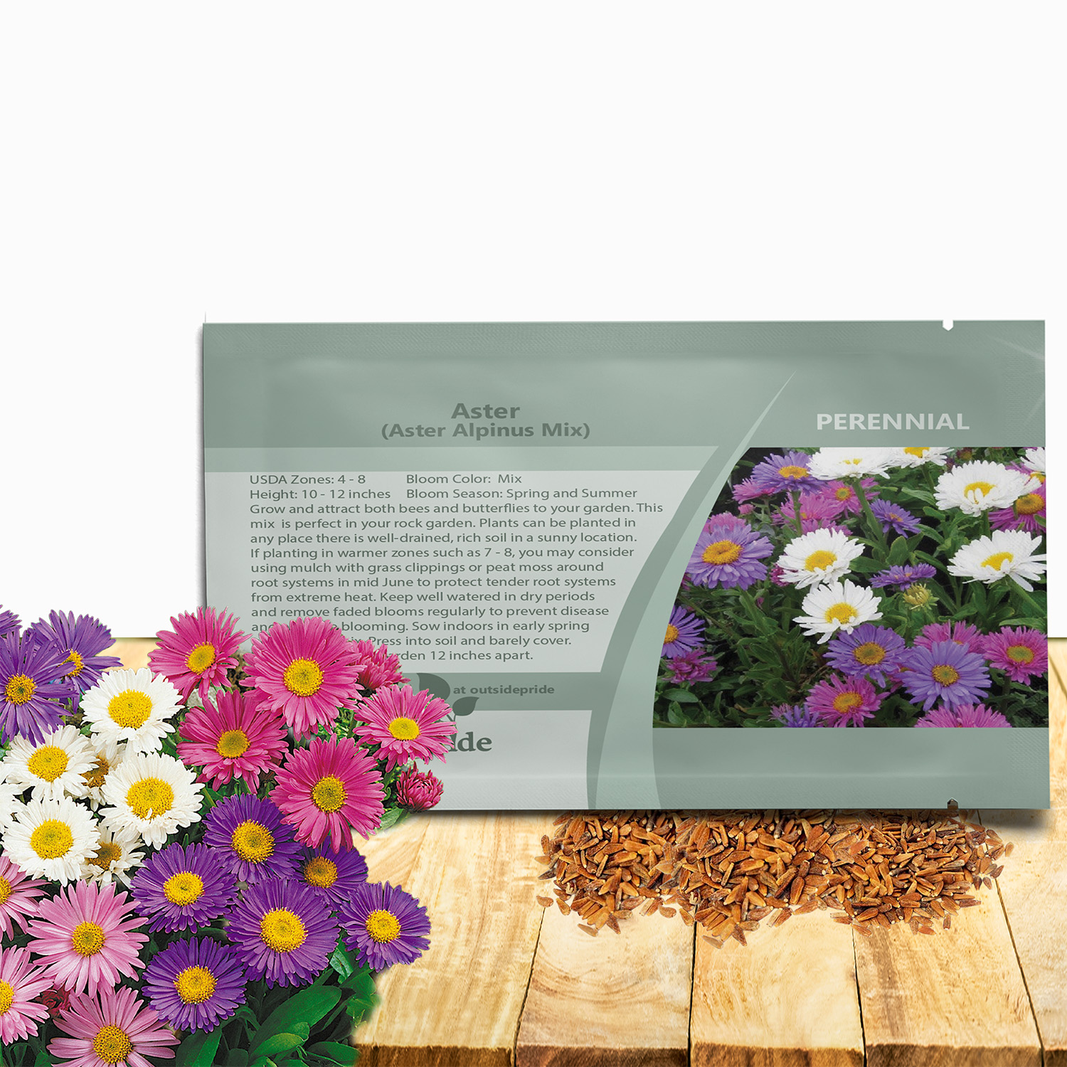 Aster Alpinus Flower Seed Mix
