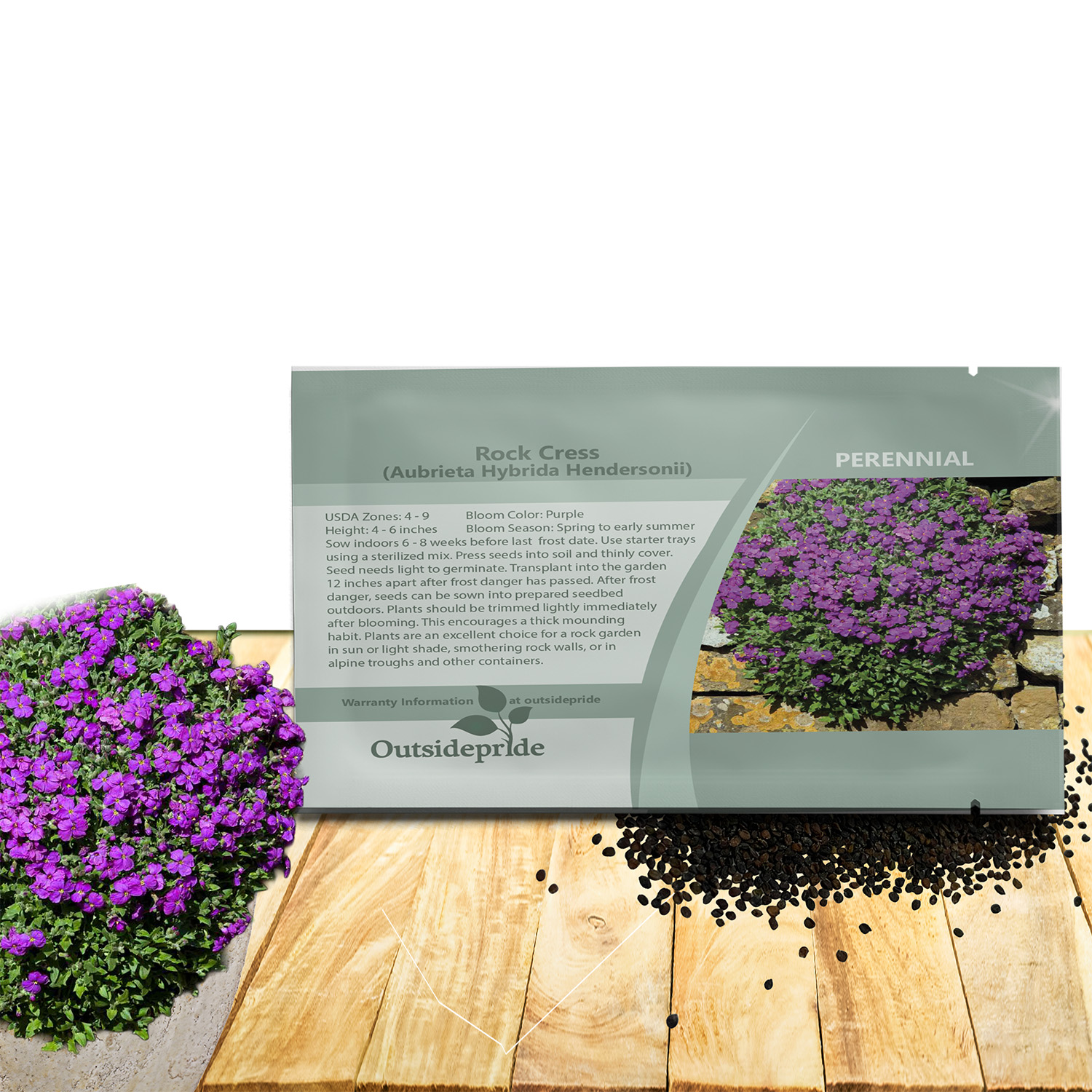 Rock Cress Hendersonii Seed Packet