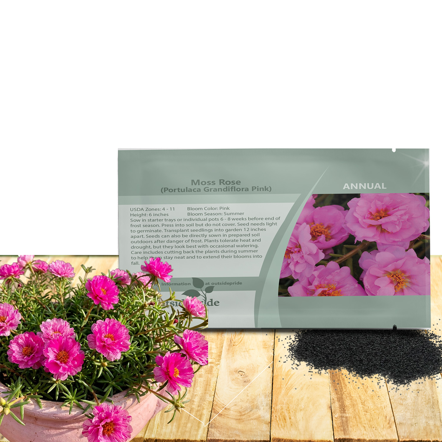 Pink Moss Rose Ground Cover Seed Packet