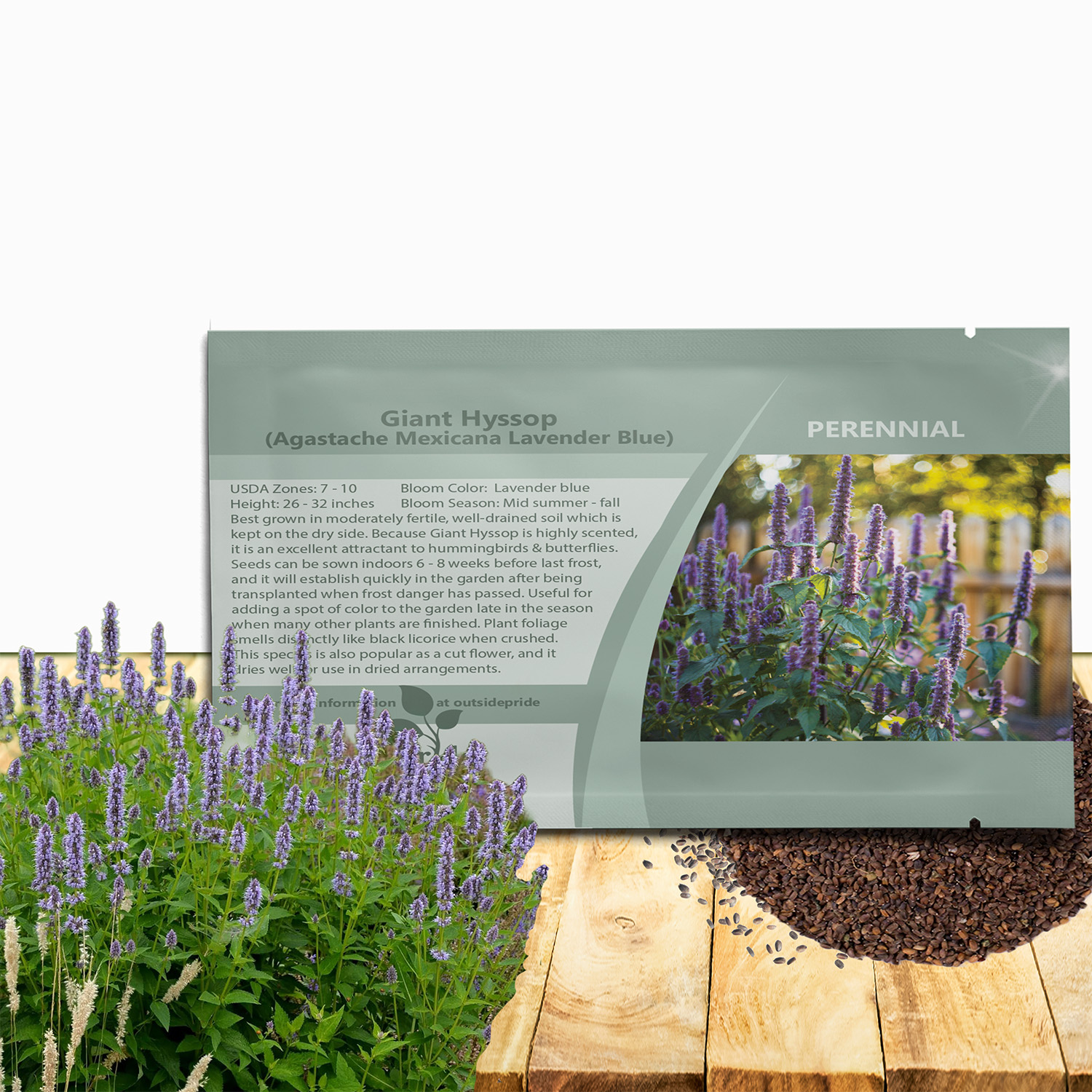 Agastache Lavender Blue Seed Packet For Planting