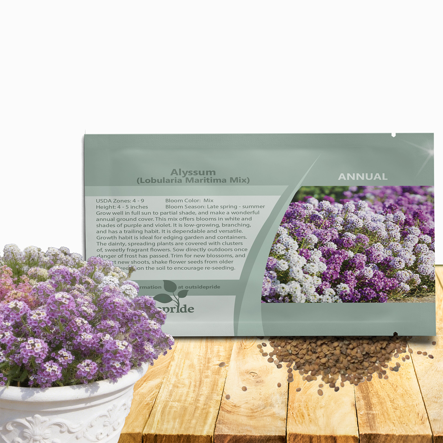 Sweet Alyssum Seed Packet