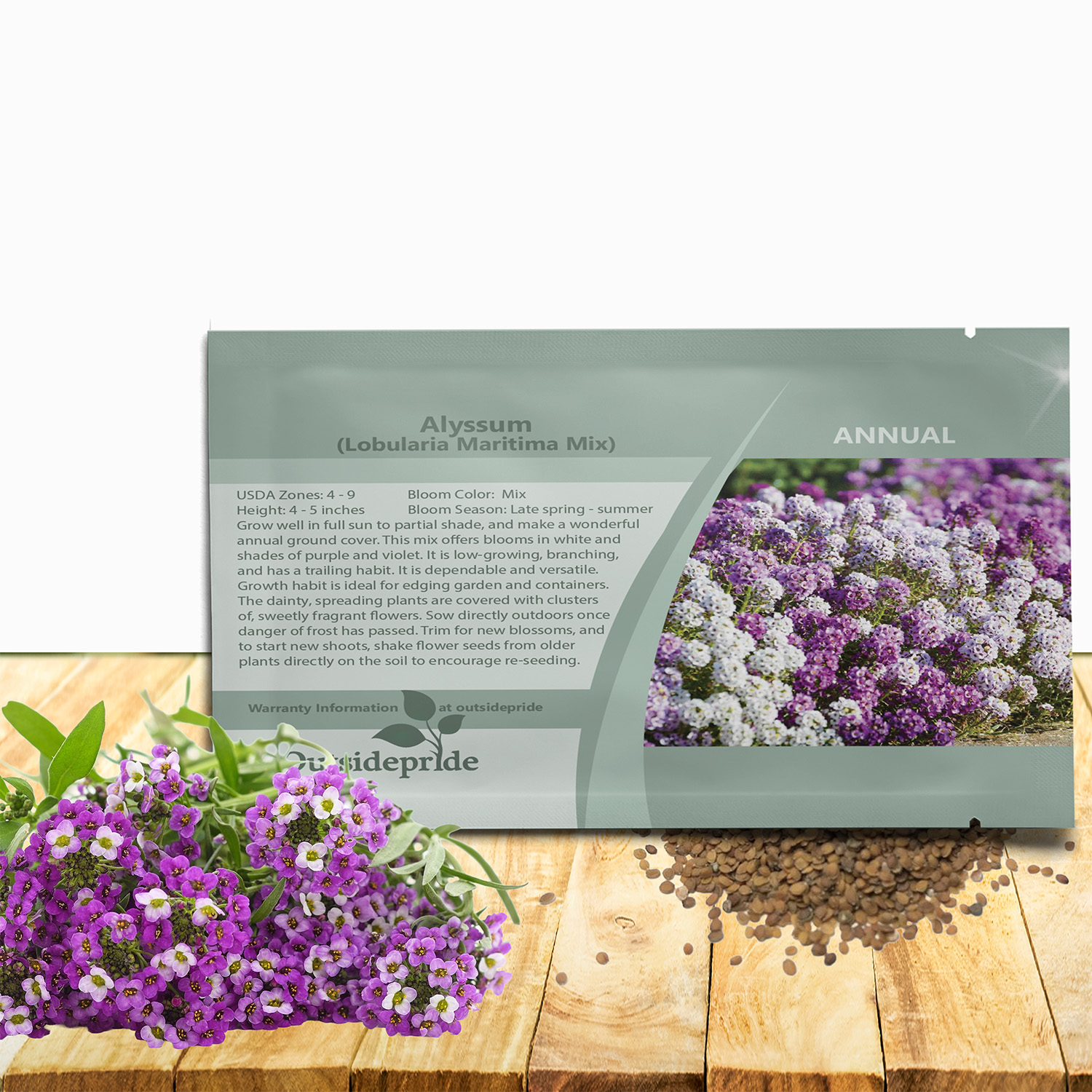Sweet Alyssum Seed Packet