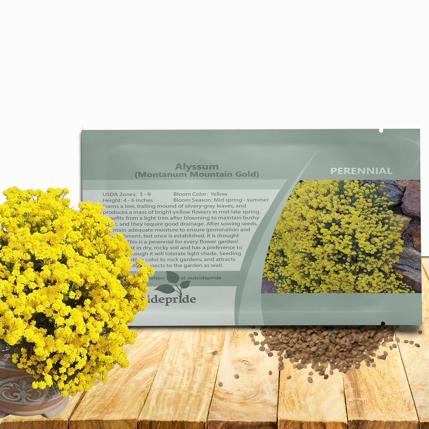 Alyssum Mountain Gold Seed Packet