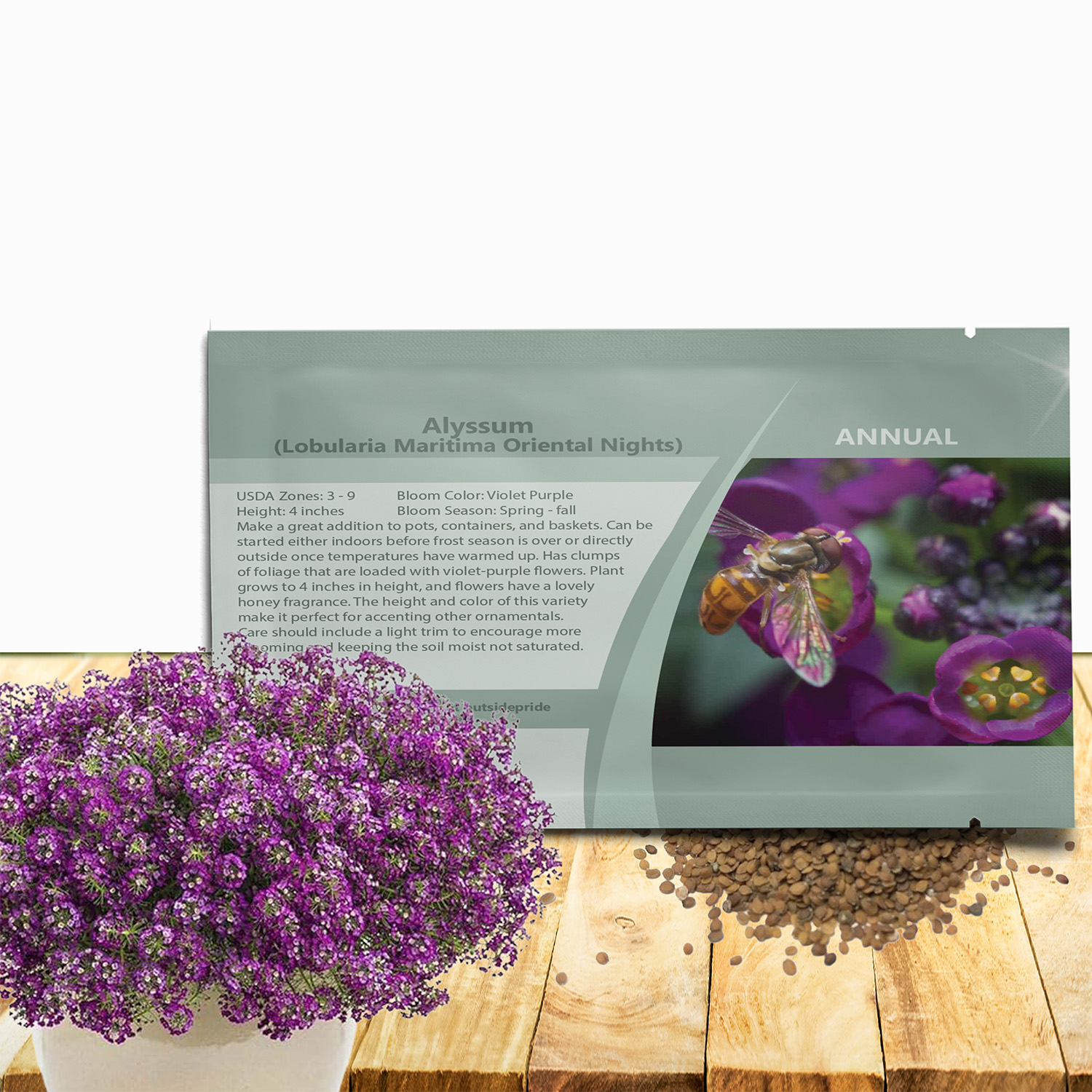 Alyssum Oriental Night Seed Packet