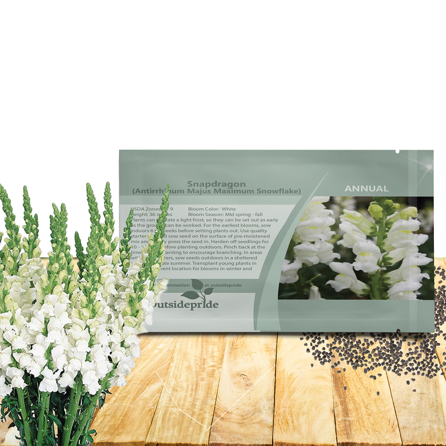 Snapdragon White Seeds For Planting