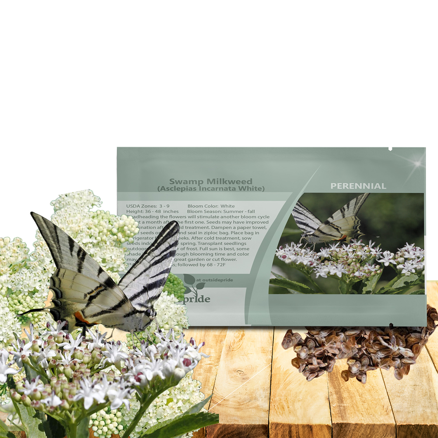 Milkweed White Seed Packet For Planting