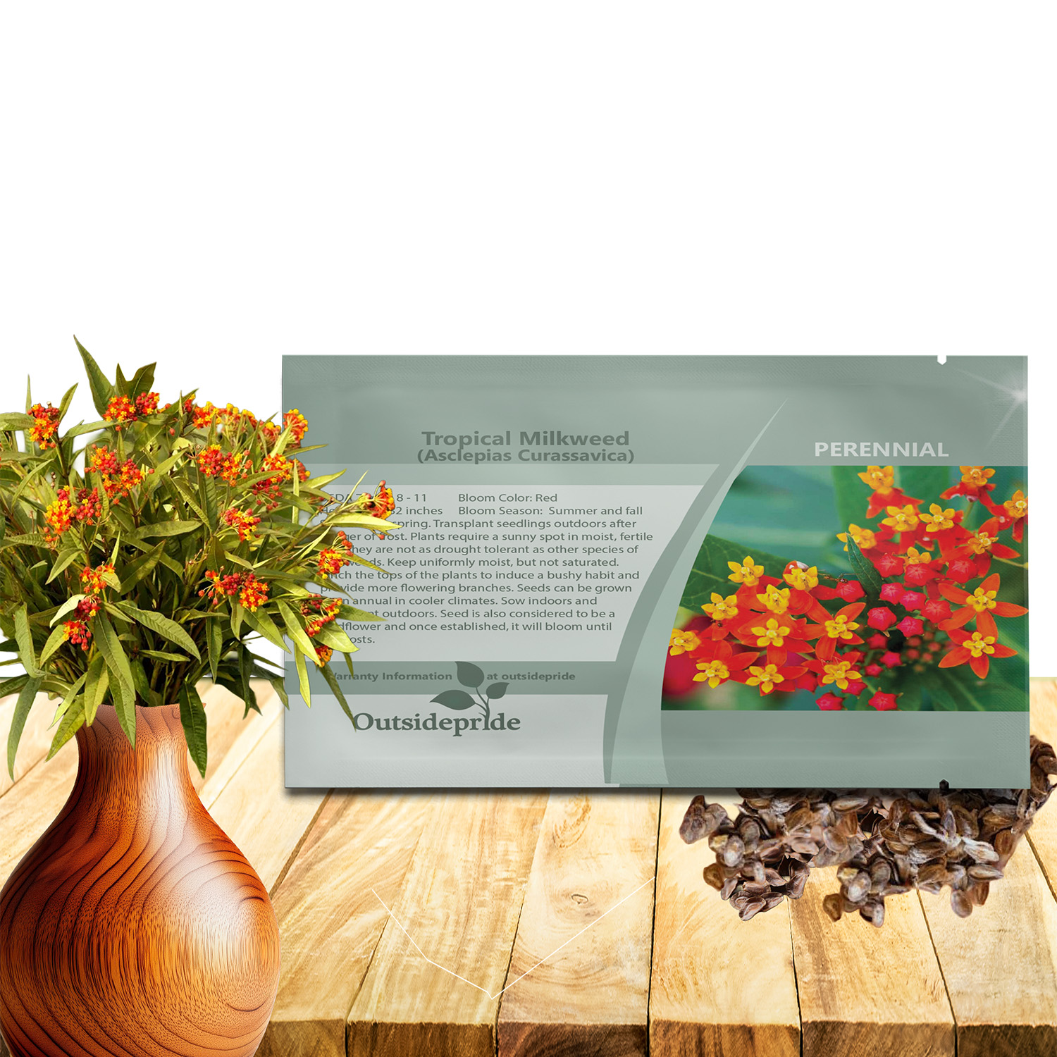 Asclepias Curassavica Flower Seed Packet