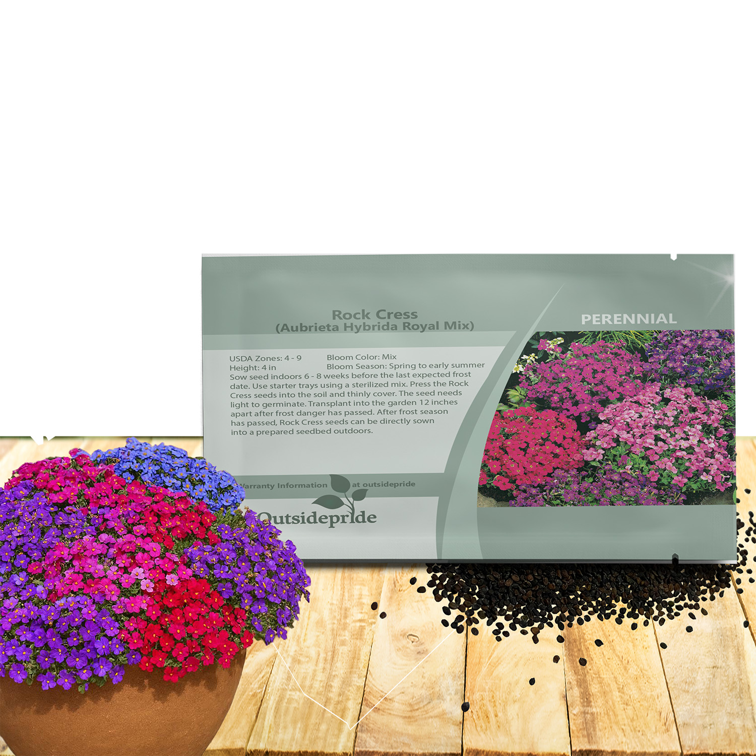 Aubrieta Royal Flower Seed Packet